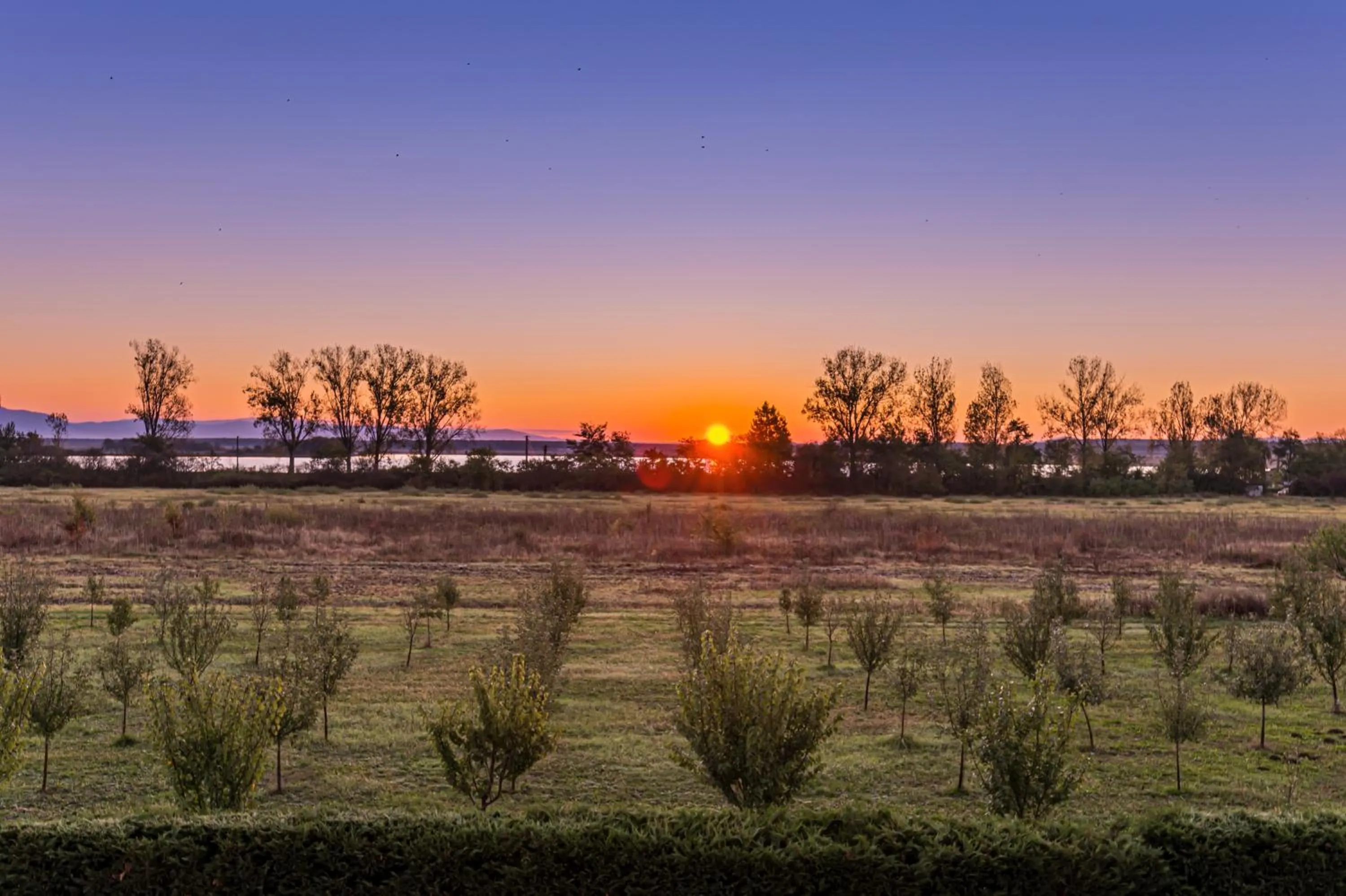 View (from property/room) in Stejarii Resort
