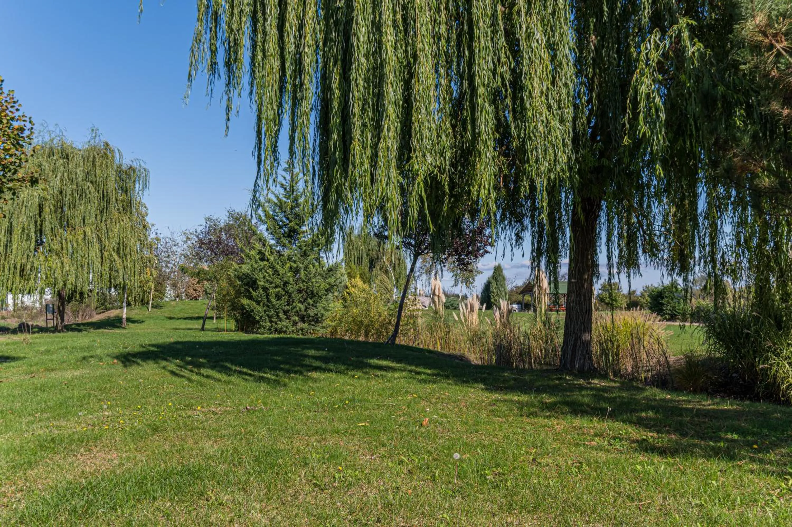 Garden in Stejarii Resort
