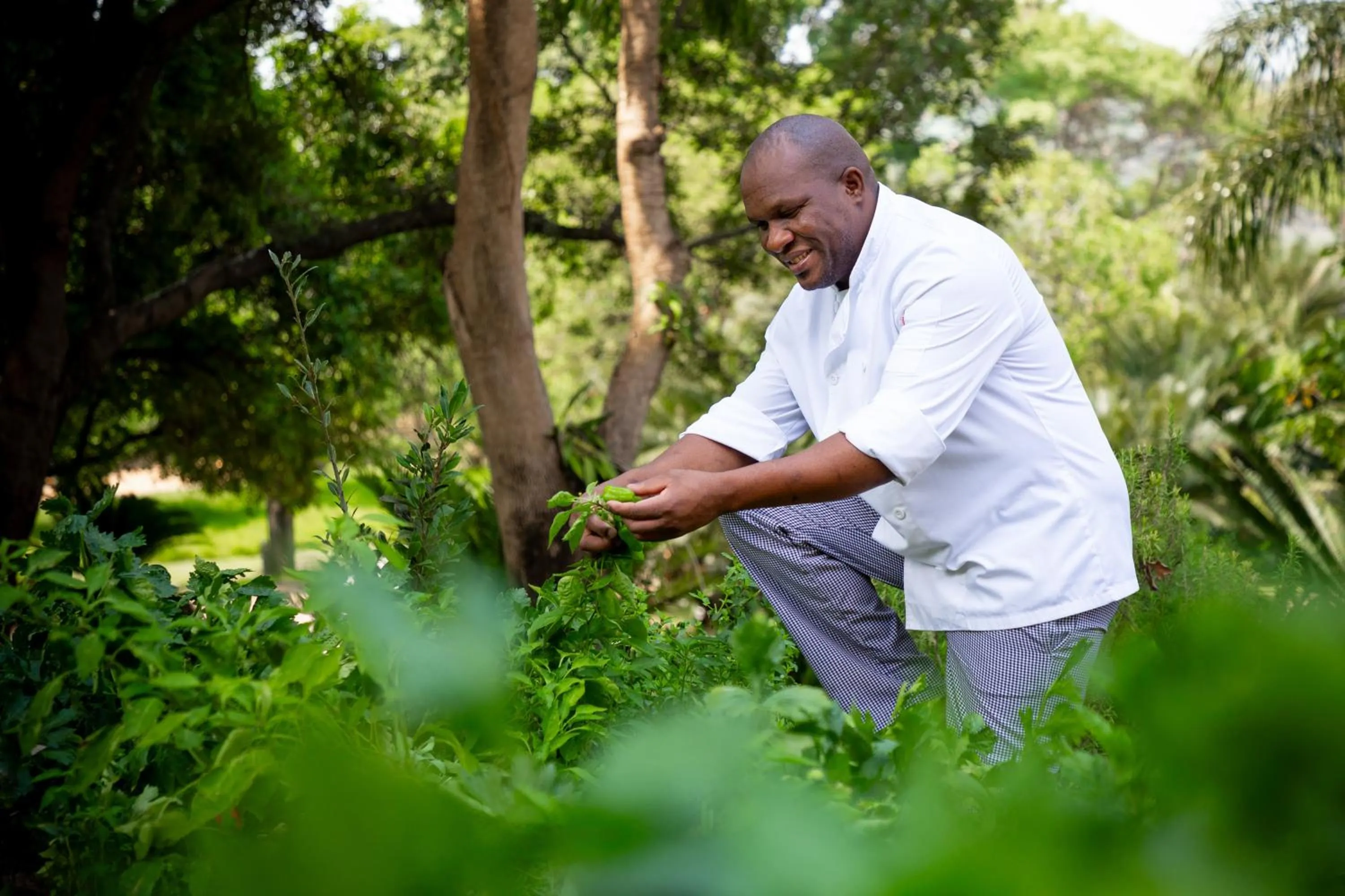 Staff in Buhala Lodge