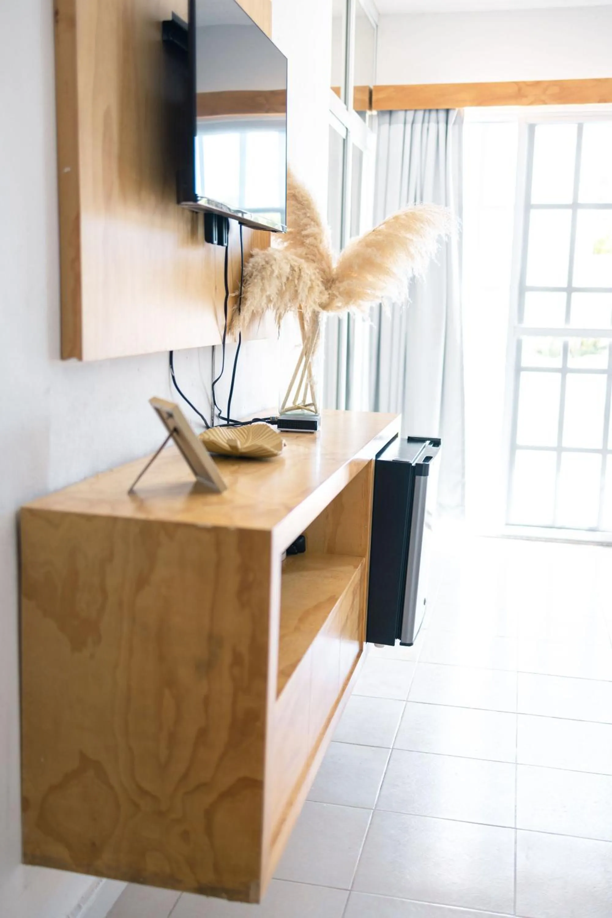 TV and multimedia in HOTEL & BEACH CLUB OJO DE AGUA