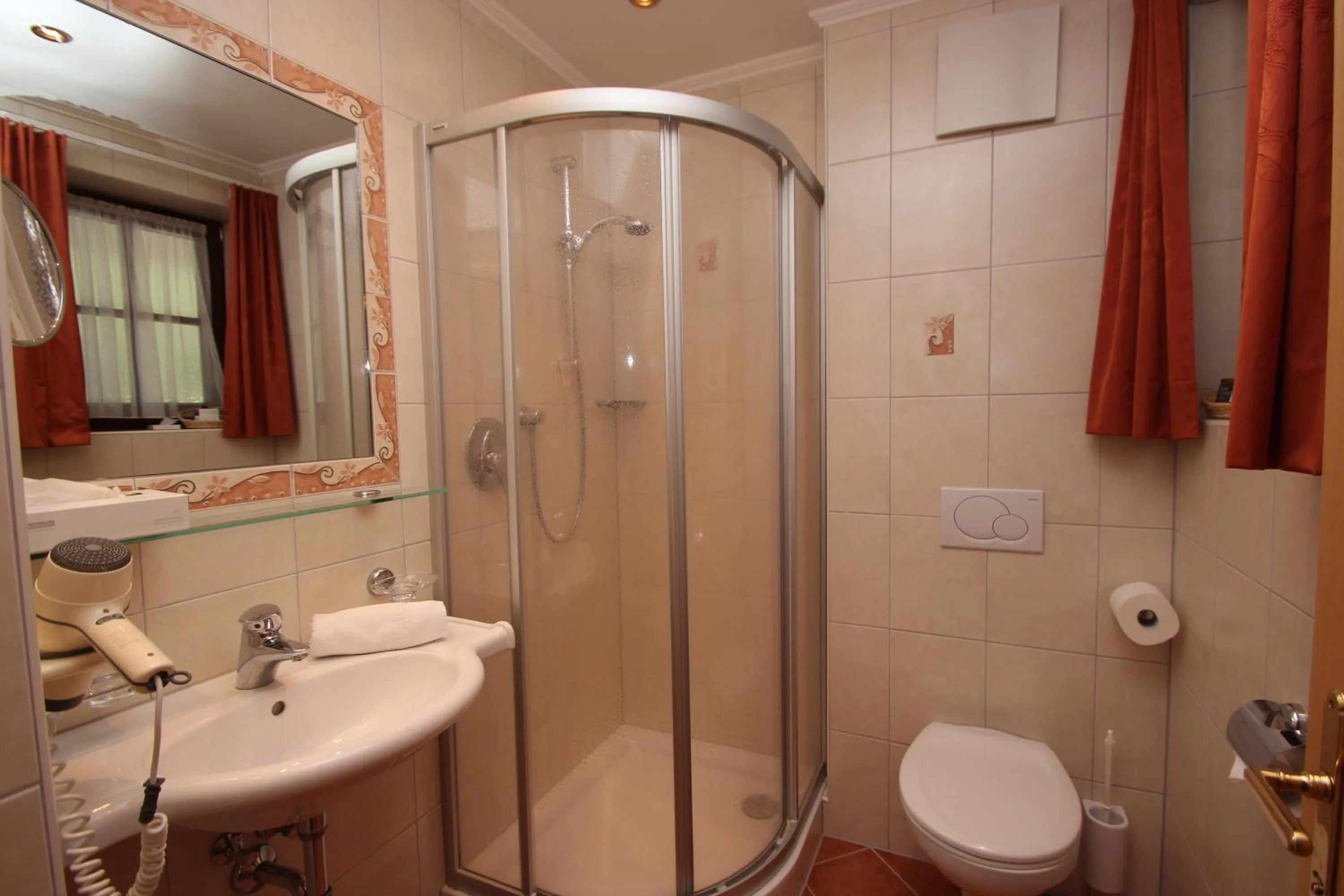 Single Room in Hotel Garni Monte Bianco