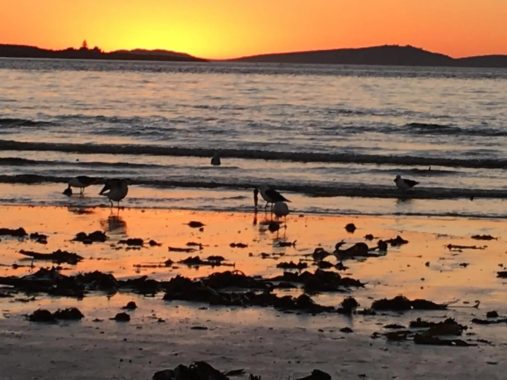 Beach in Sandra's Guest House