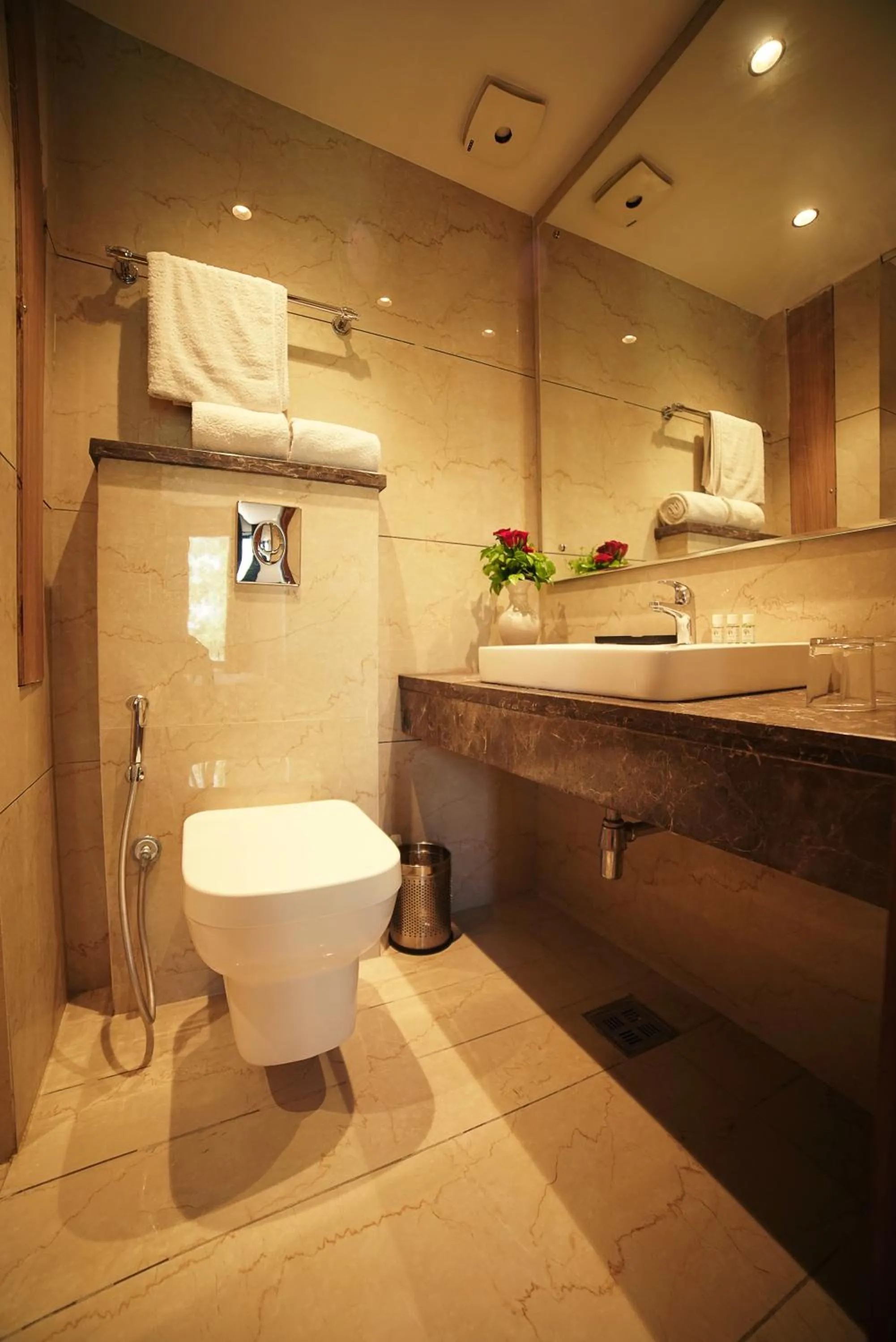 Toilet in TreeHouse London Street Amritsar