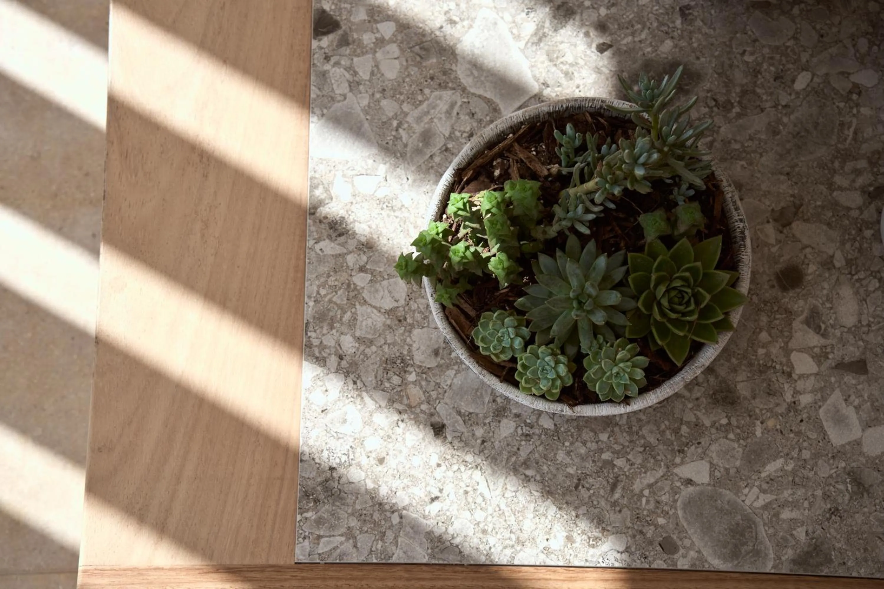 Decorative detail in Once in Mykonos - Designed for Adults