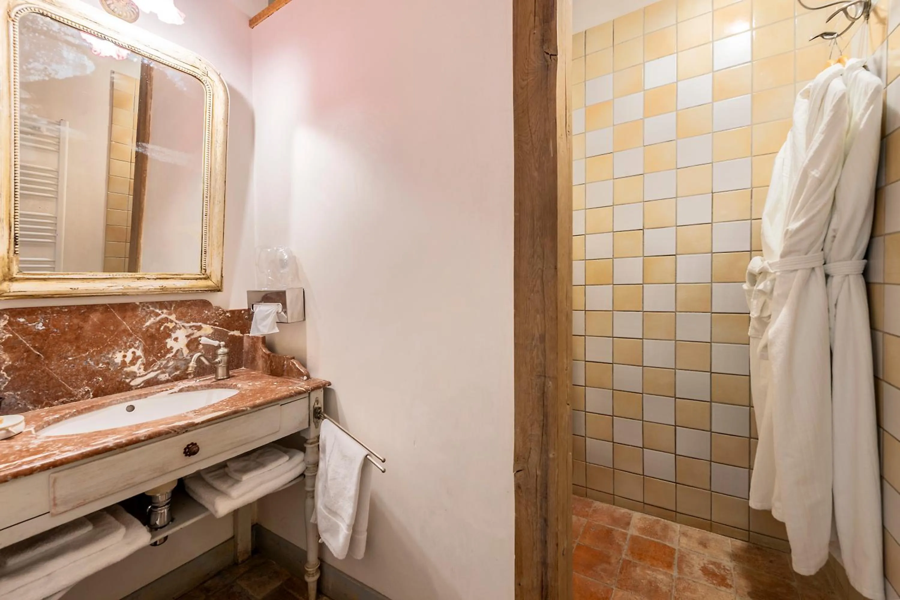 Shower in Hôtel De La Beursaudiere