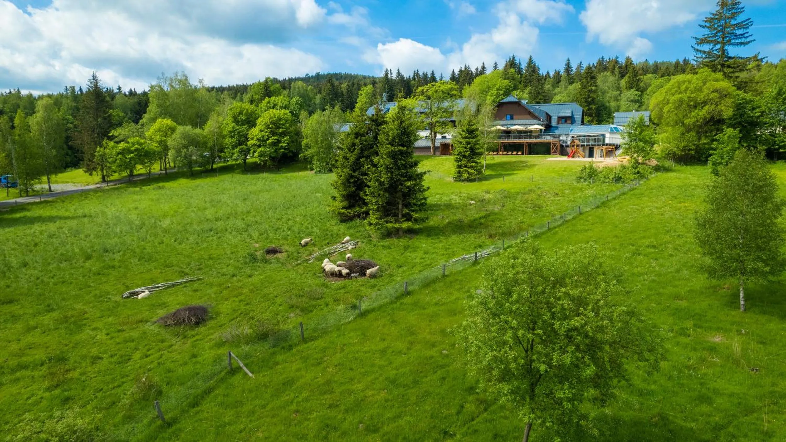 Animals in Amenity Hotel & Resort Orlické hory