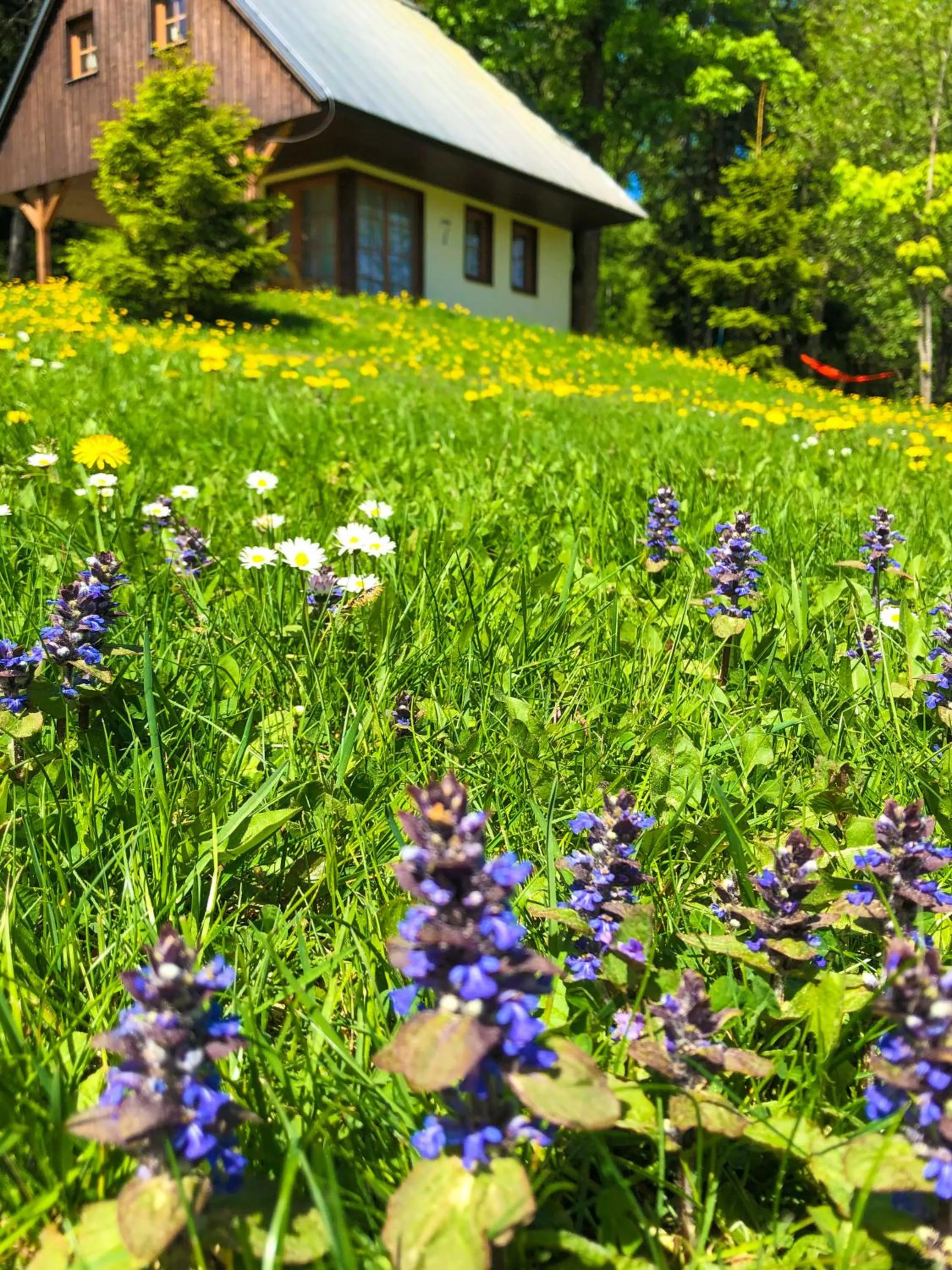 Garden in Amenity Hotel & Resort Orlické hory