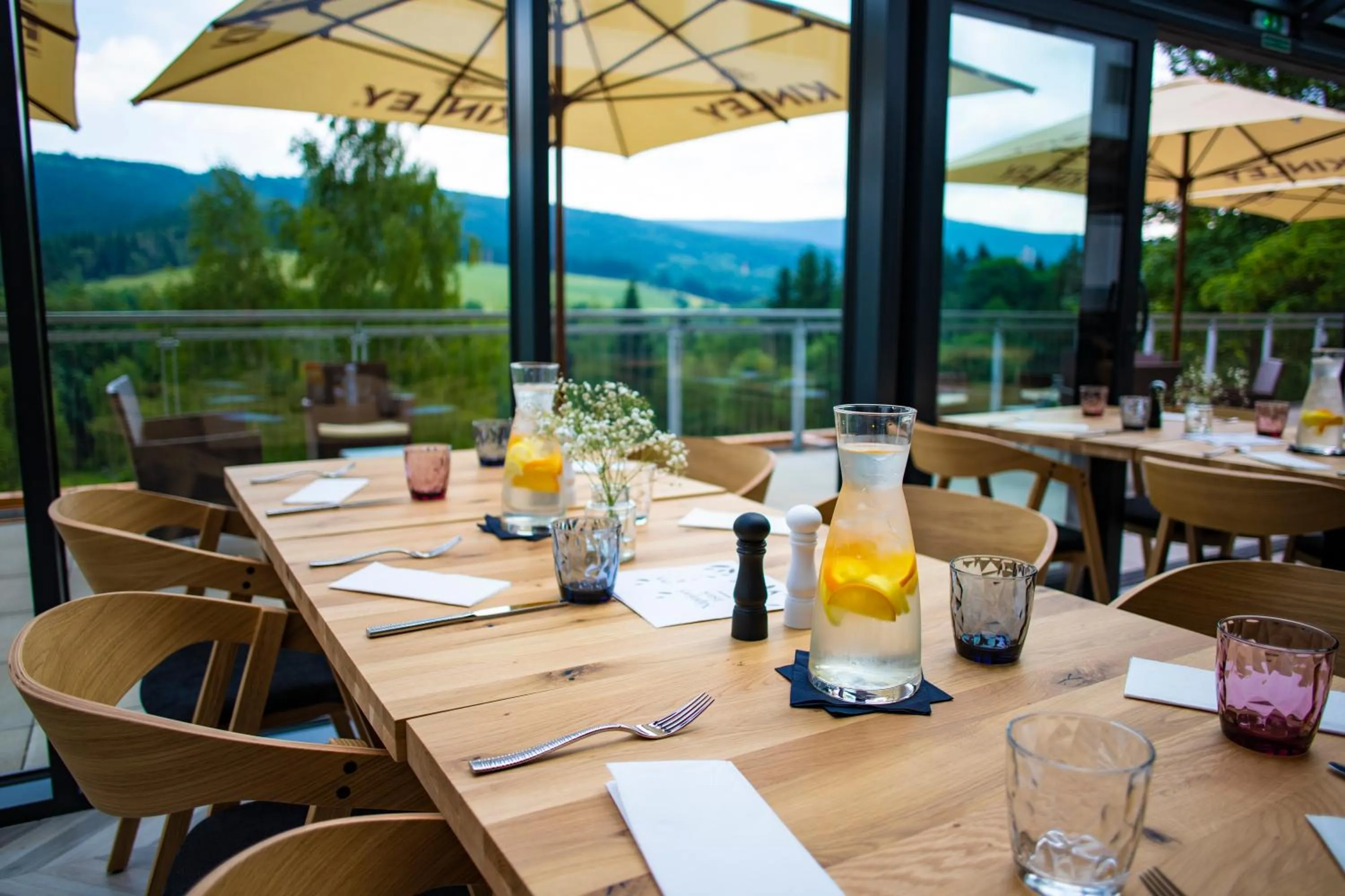 Restaurant/places to eat in Amenity Hotel & Resort Orlické hory