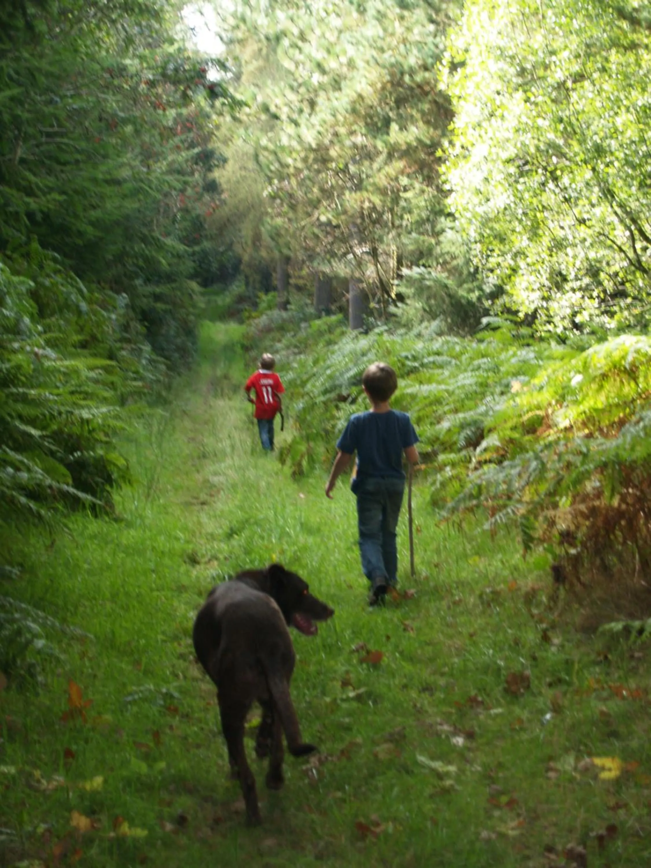 Entertainment in The White Horse Inn, Clun