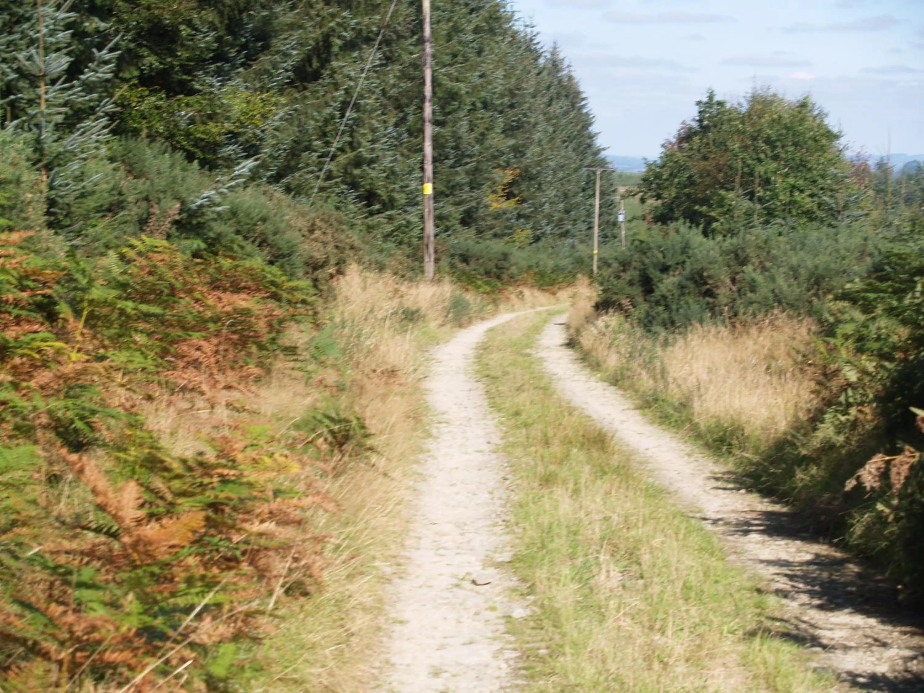 Darts in The White Horse Inn, Clun
