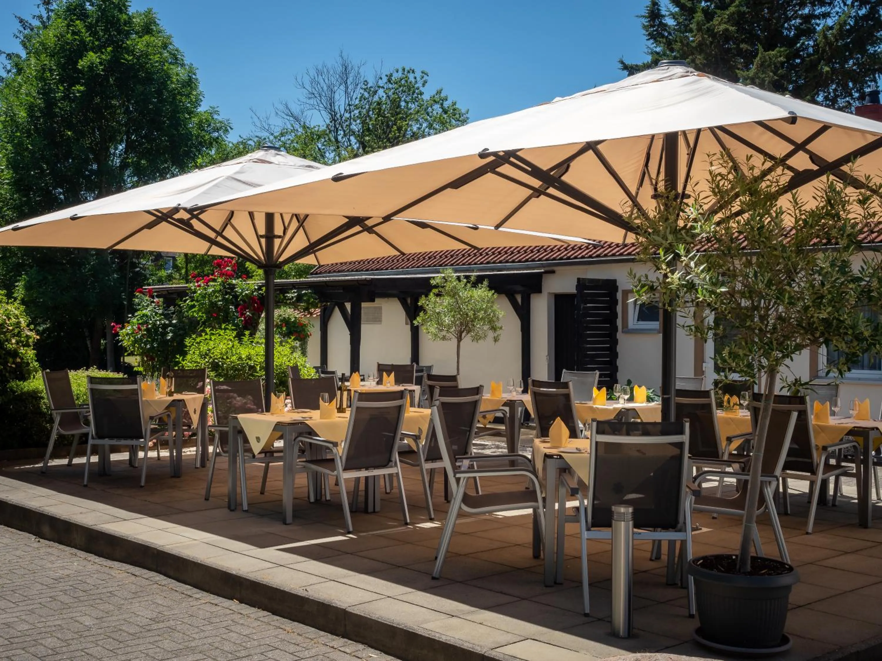 Restaurant/places to eat in Hotel Schaper