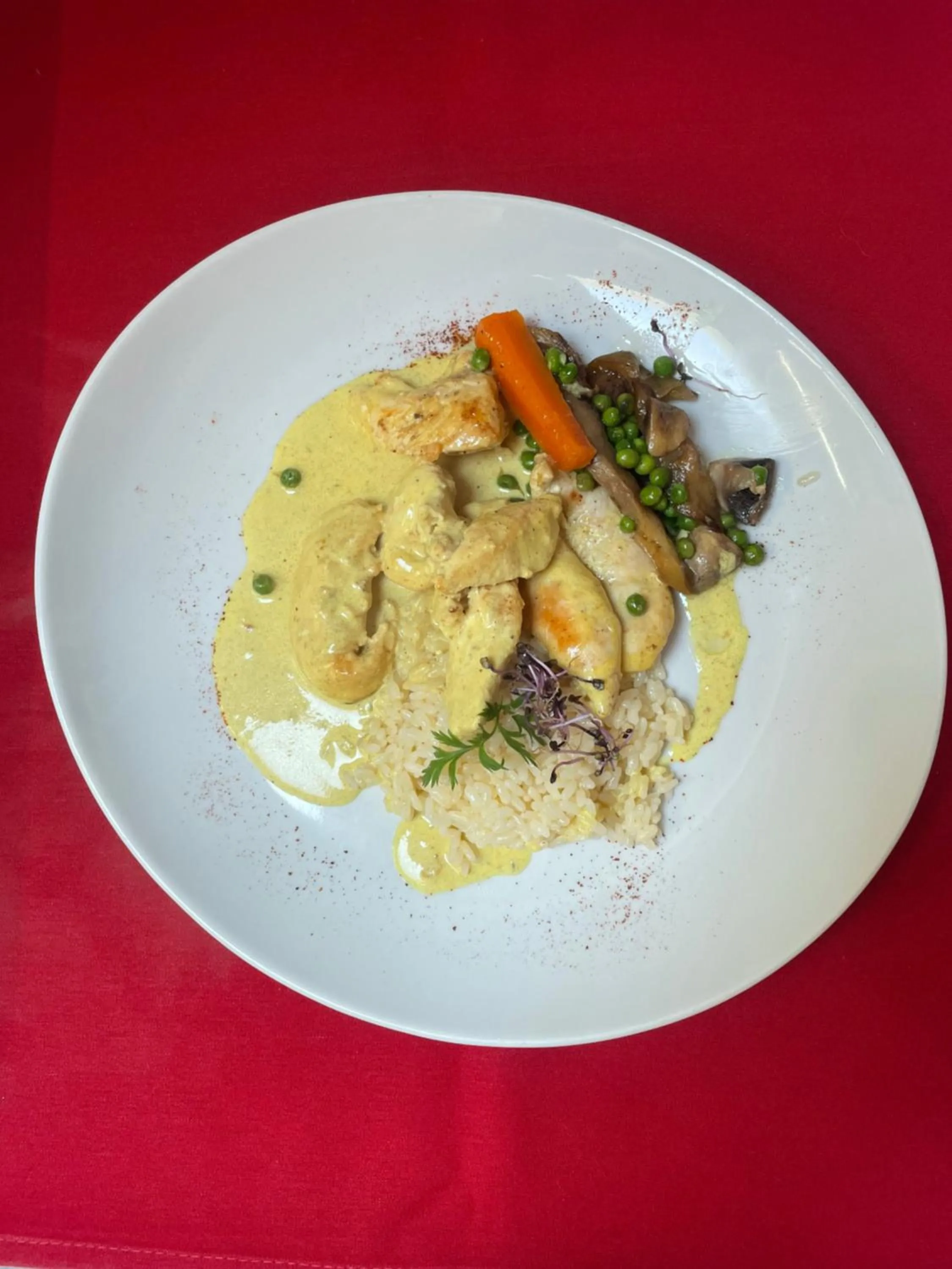 HOTEL De La Tour Saint Etienne SUD