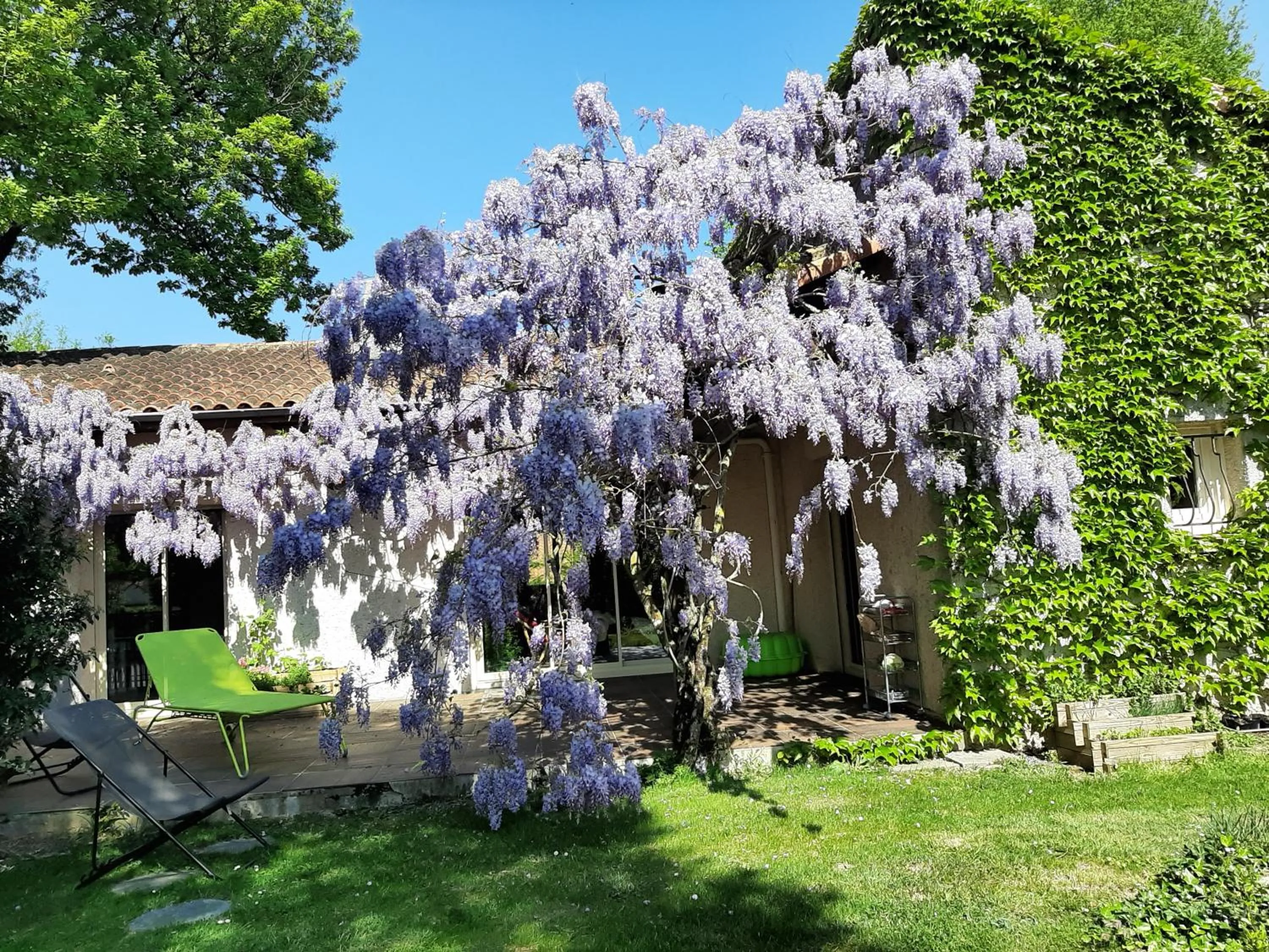 Patio in SAKURA