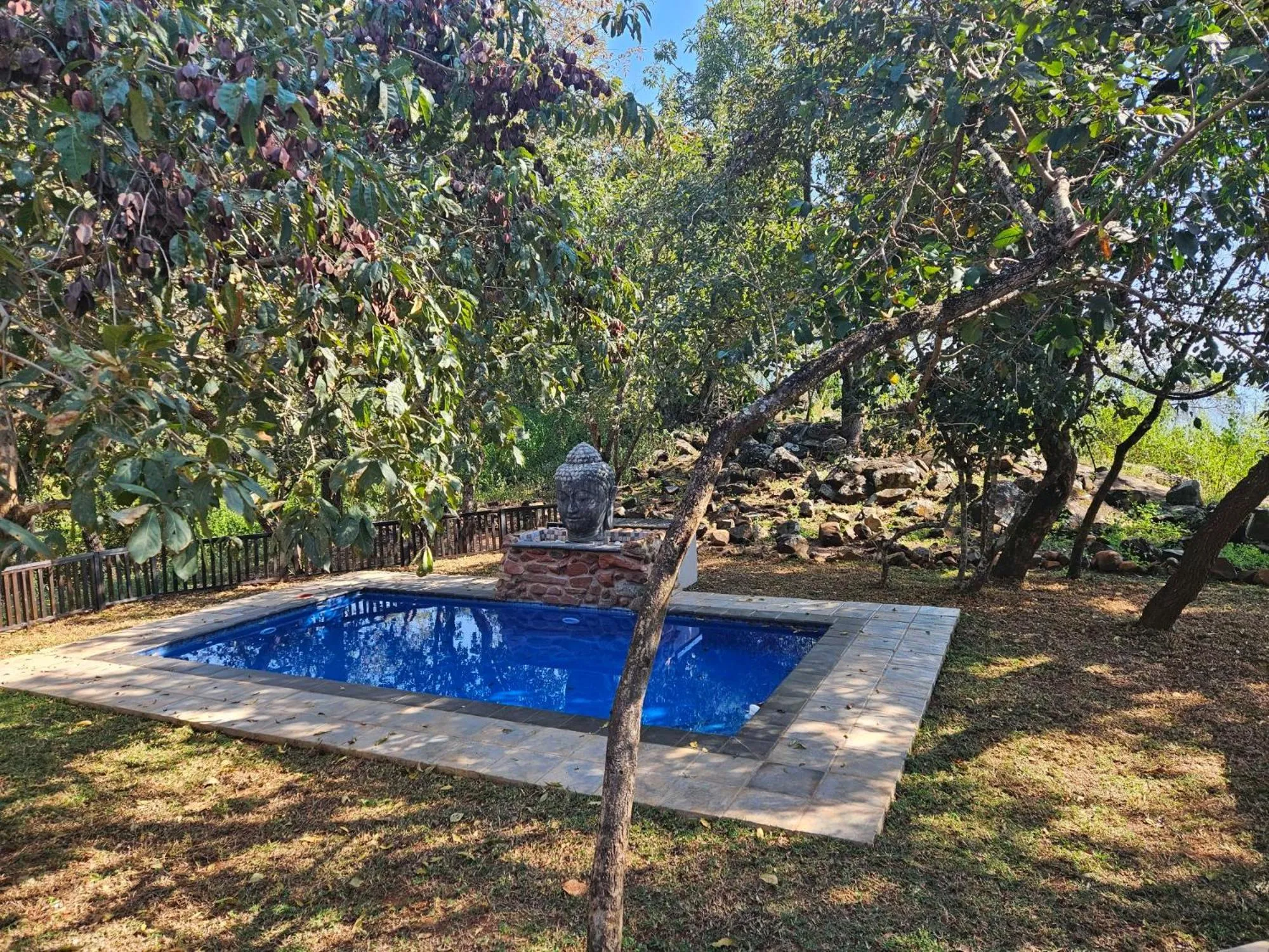 Swimming pool in The Zarafa