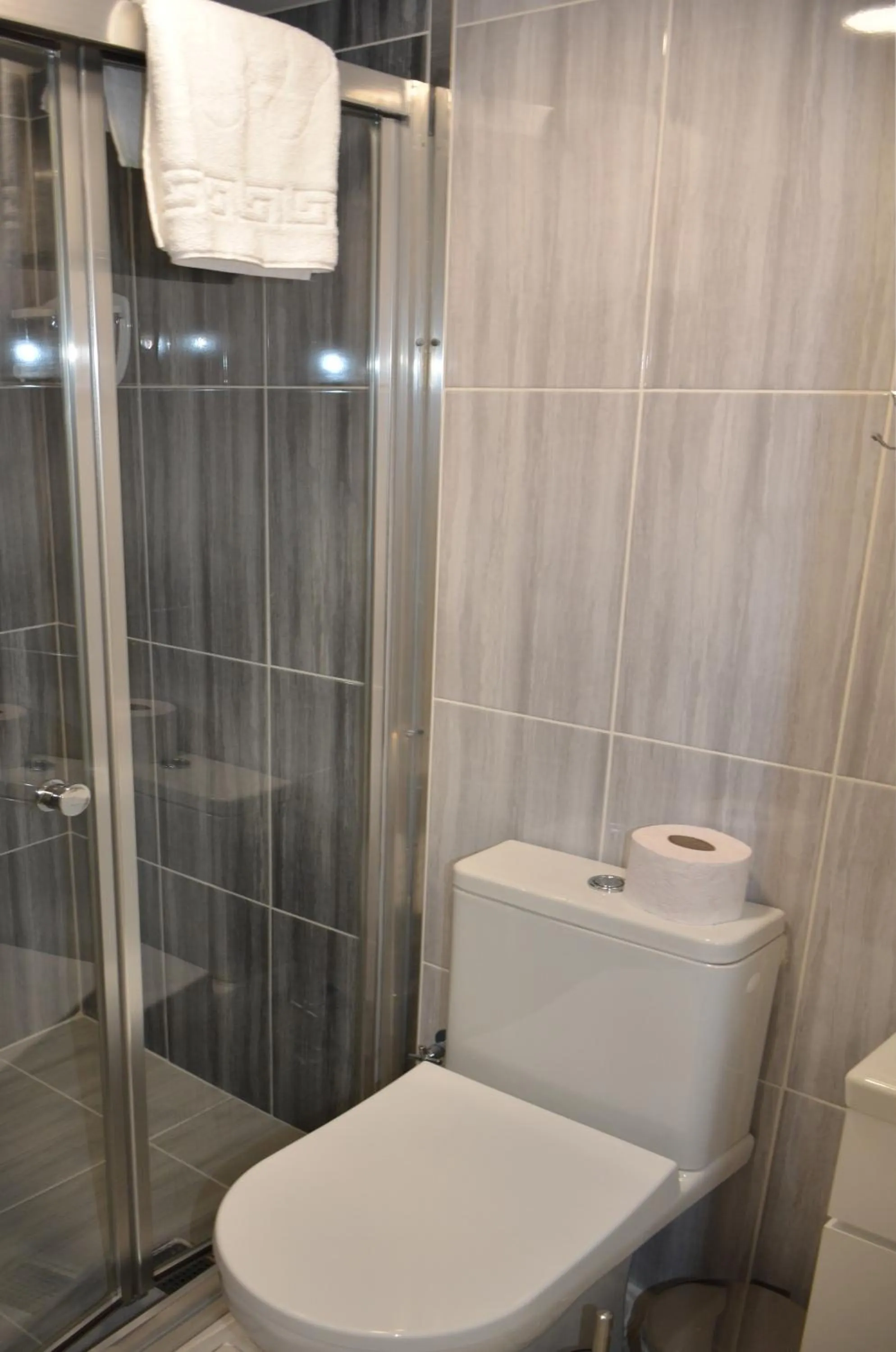 Toilet in Rodion Hotel