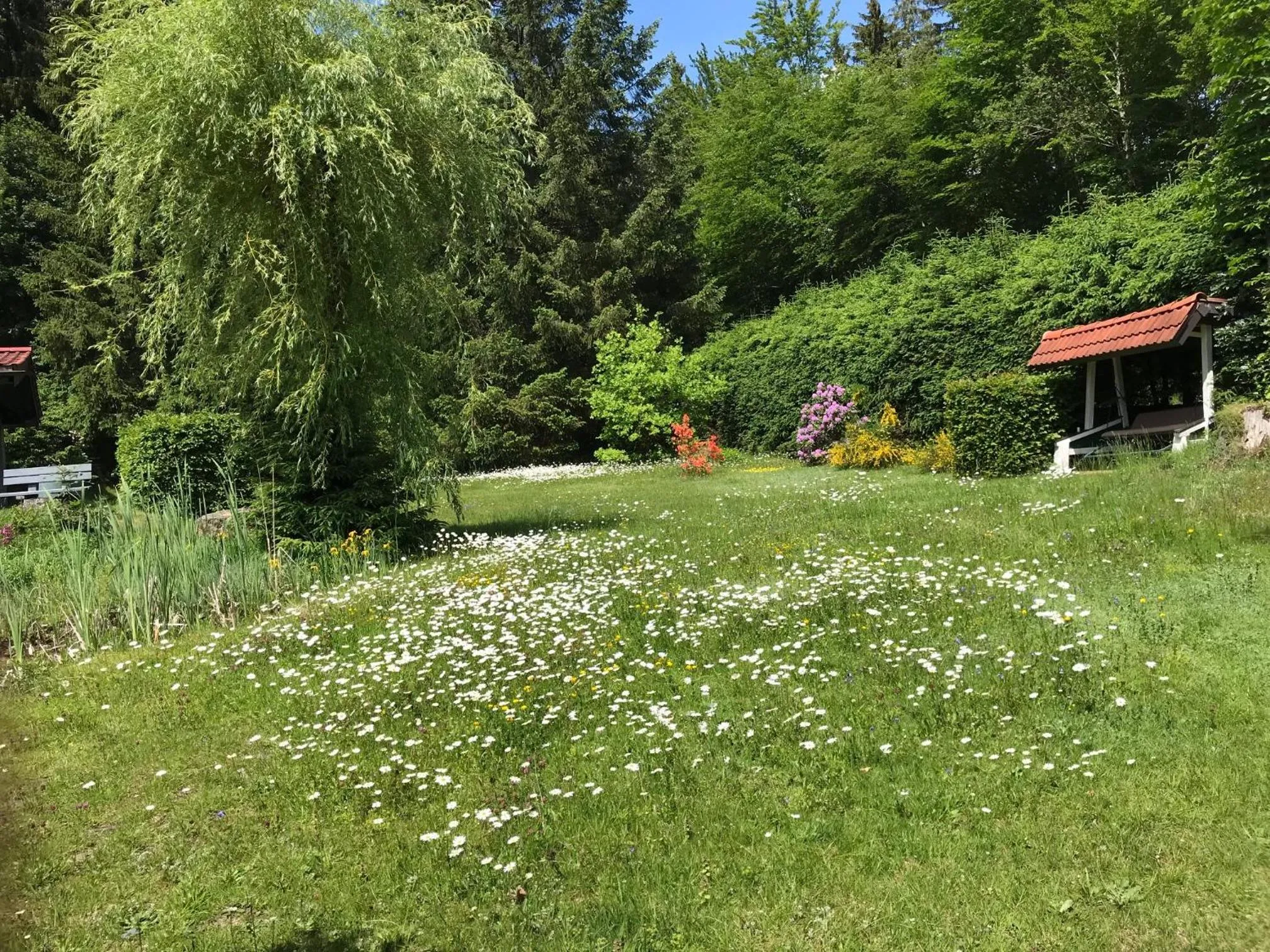 Garden in Hotel Barbara