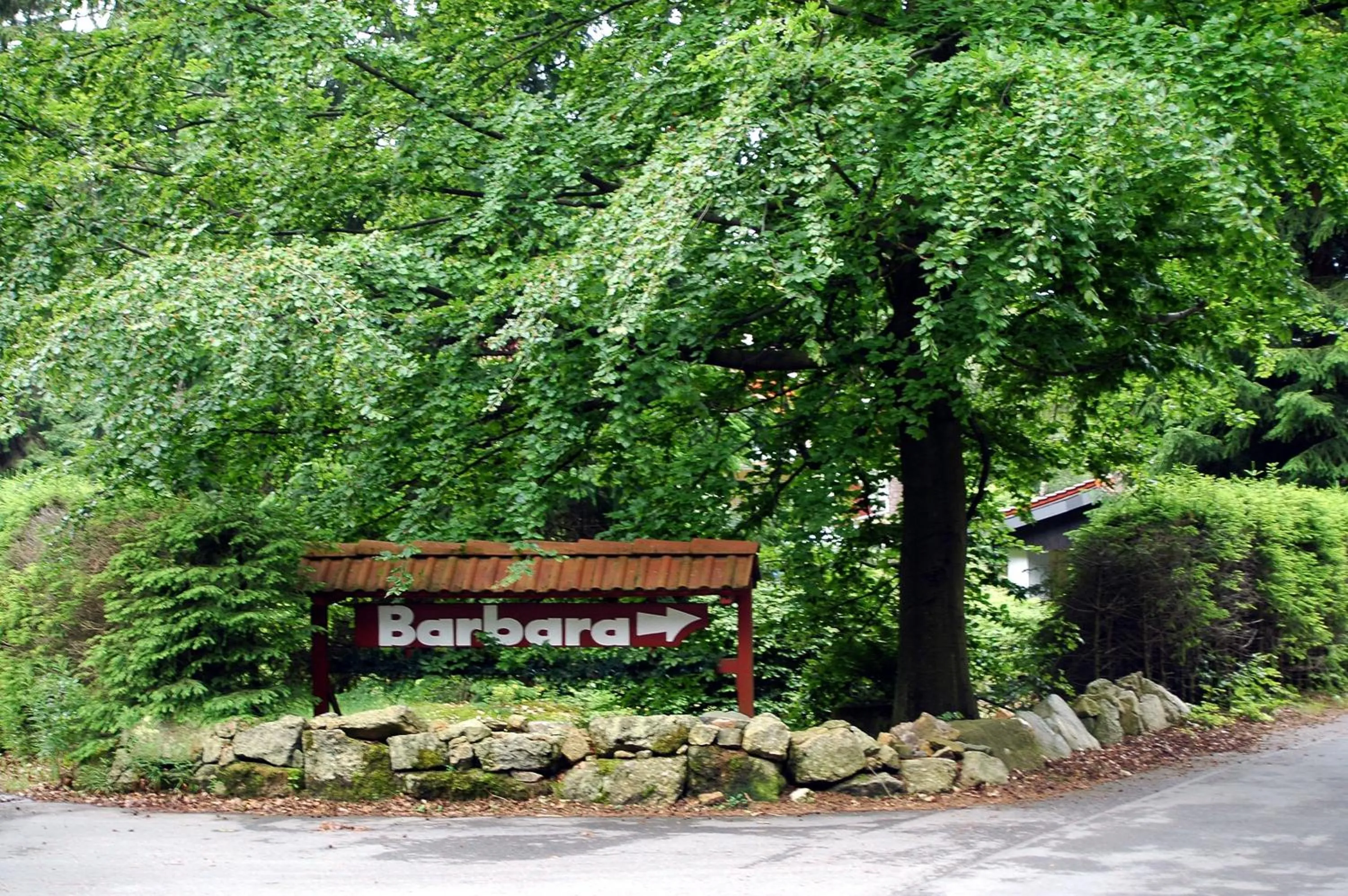 Spring in Hotel Barbara