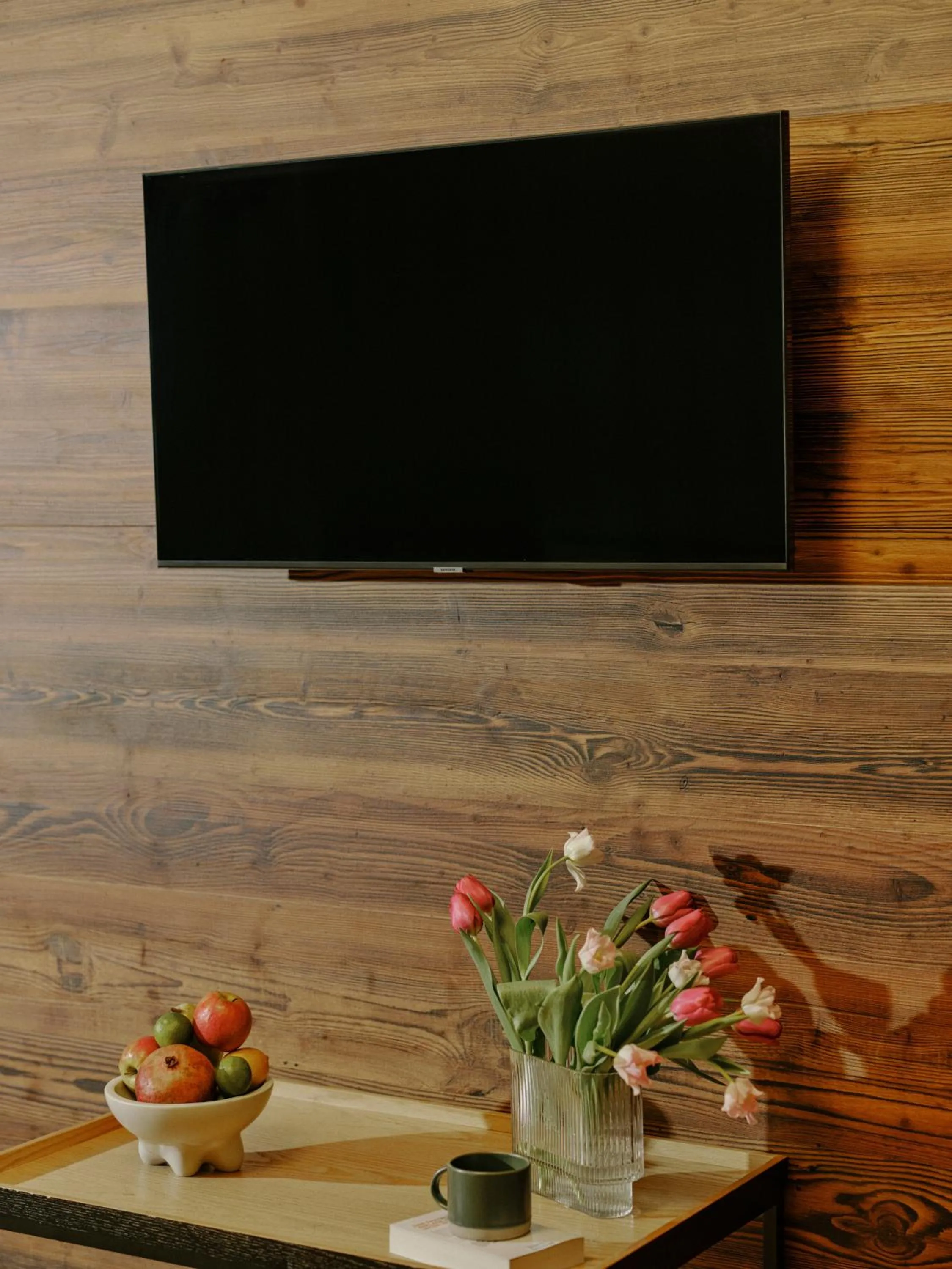 TV and multimedia in Art Apartments