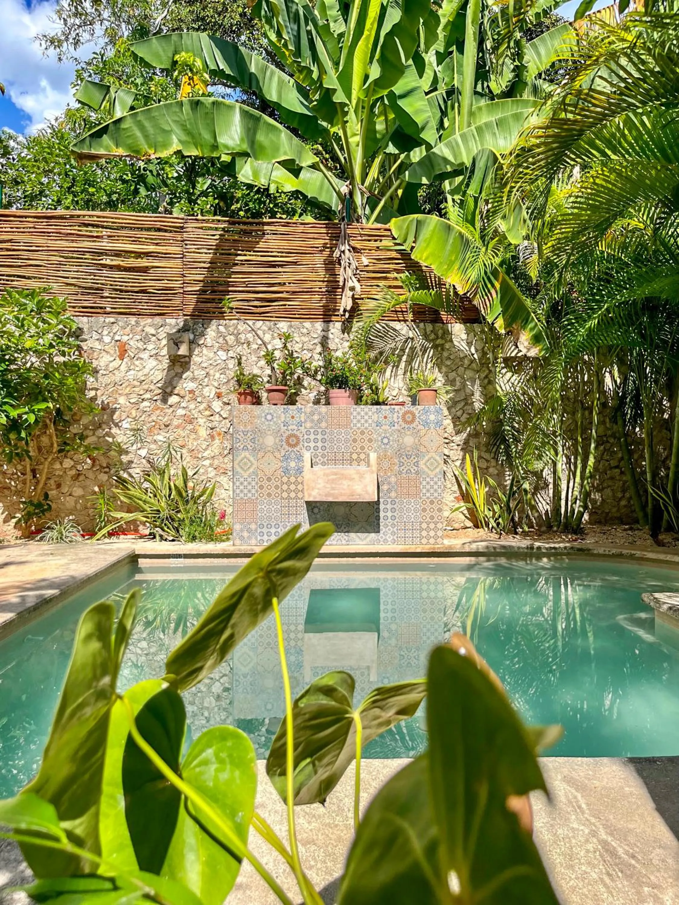 Swimming pool in Ariché Valladolid Hotel & Hostal