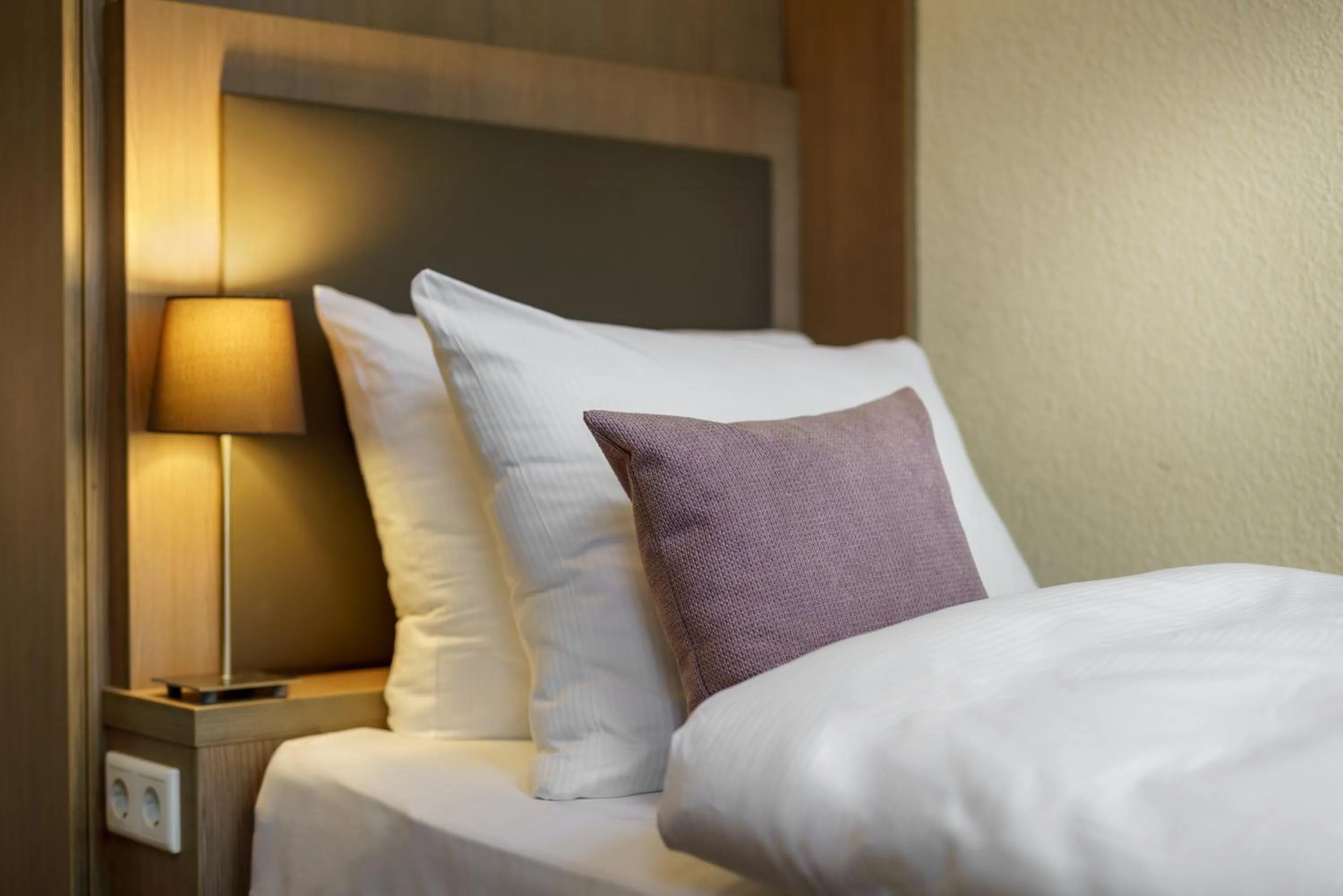 Photo of the whole room in Hotel Alster