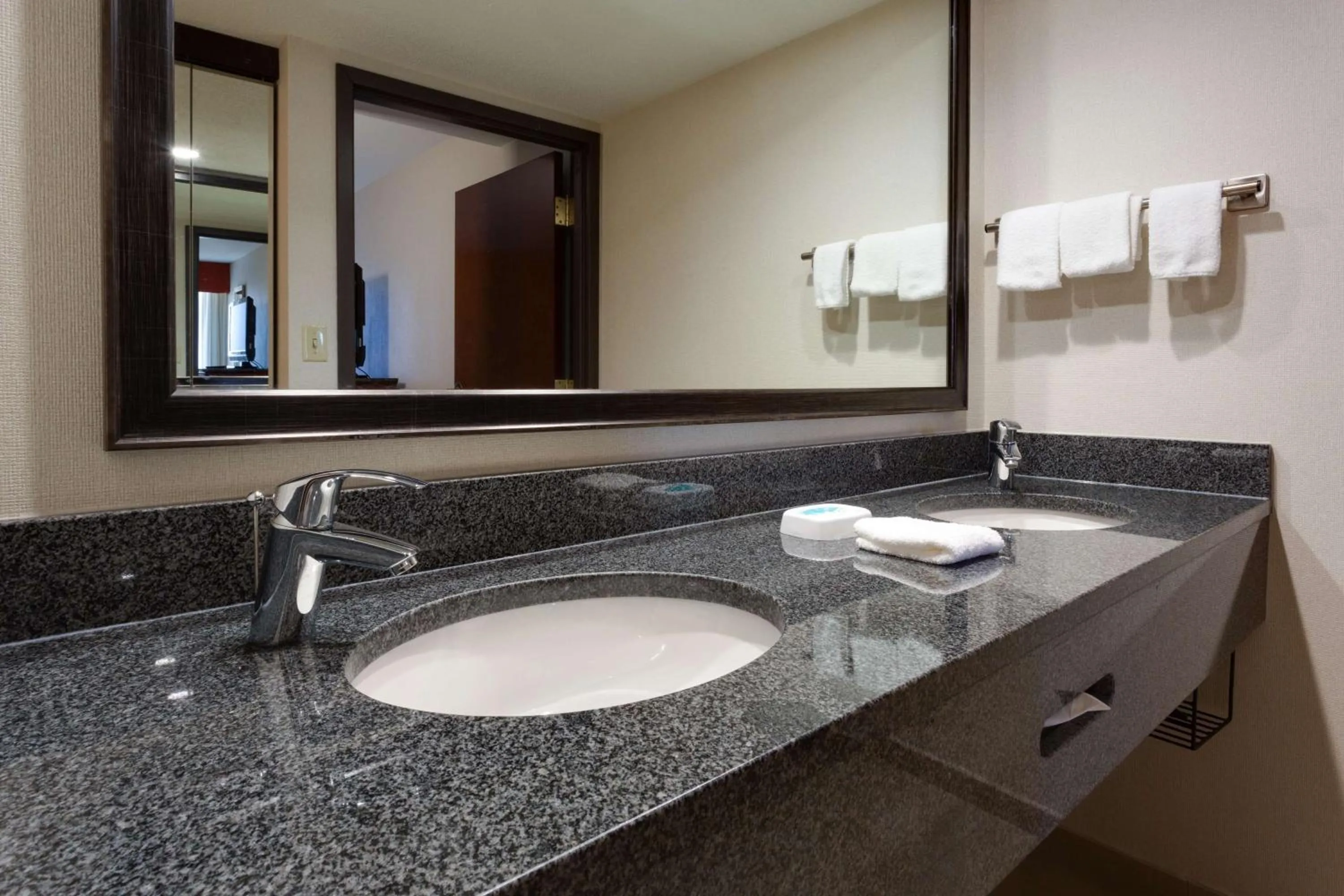 Bathroom in Drury Inn & Suites Denver Tech Center