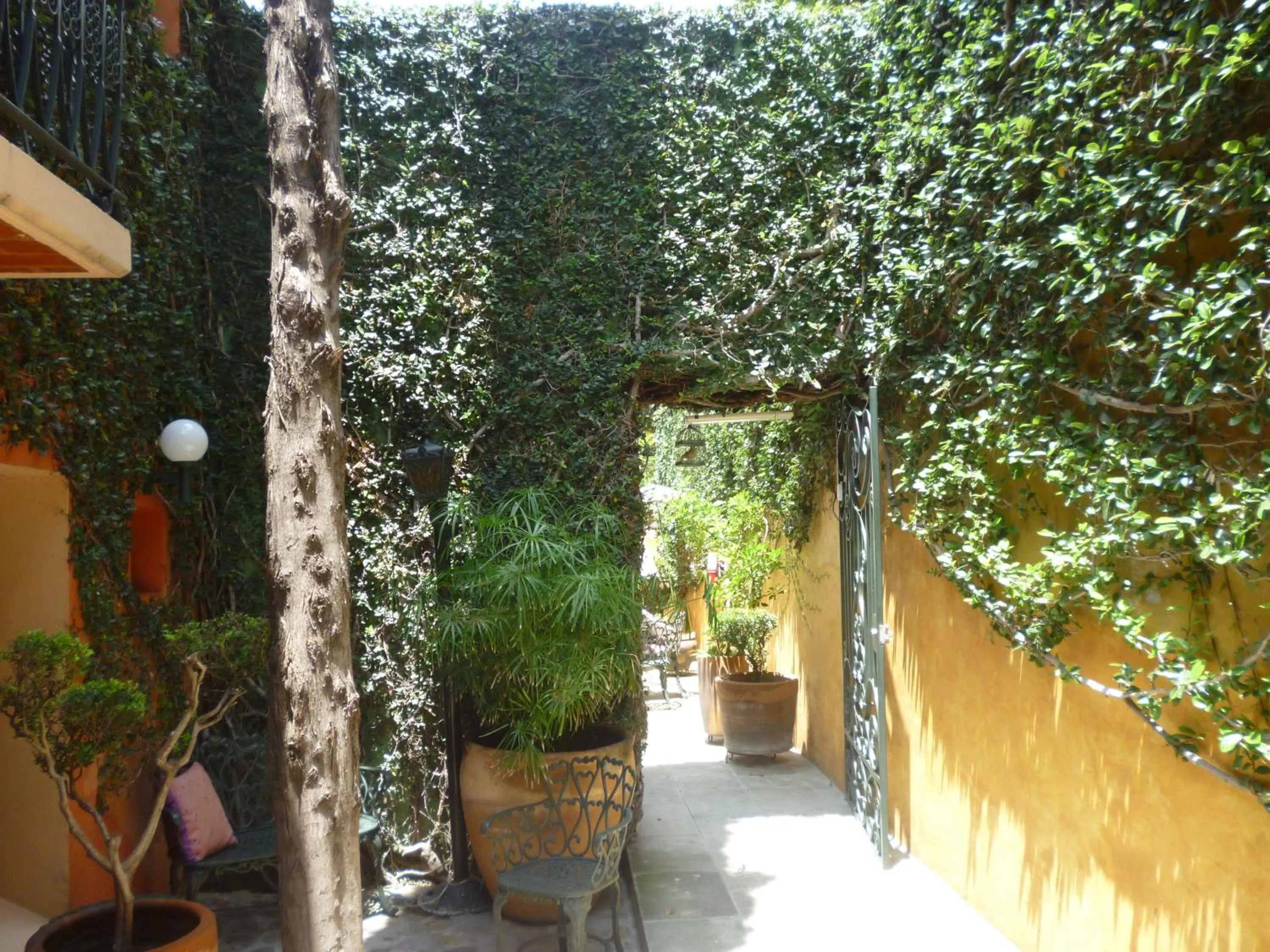 Garden view in Hotel Casa Pereyra