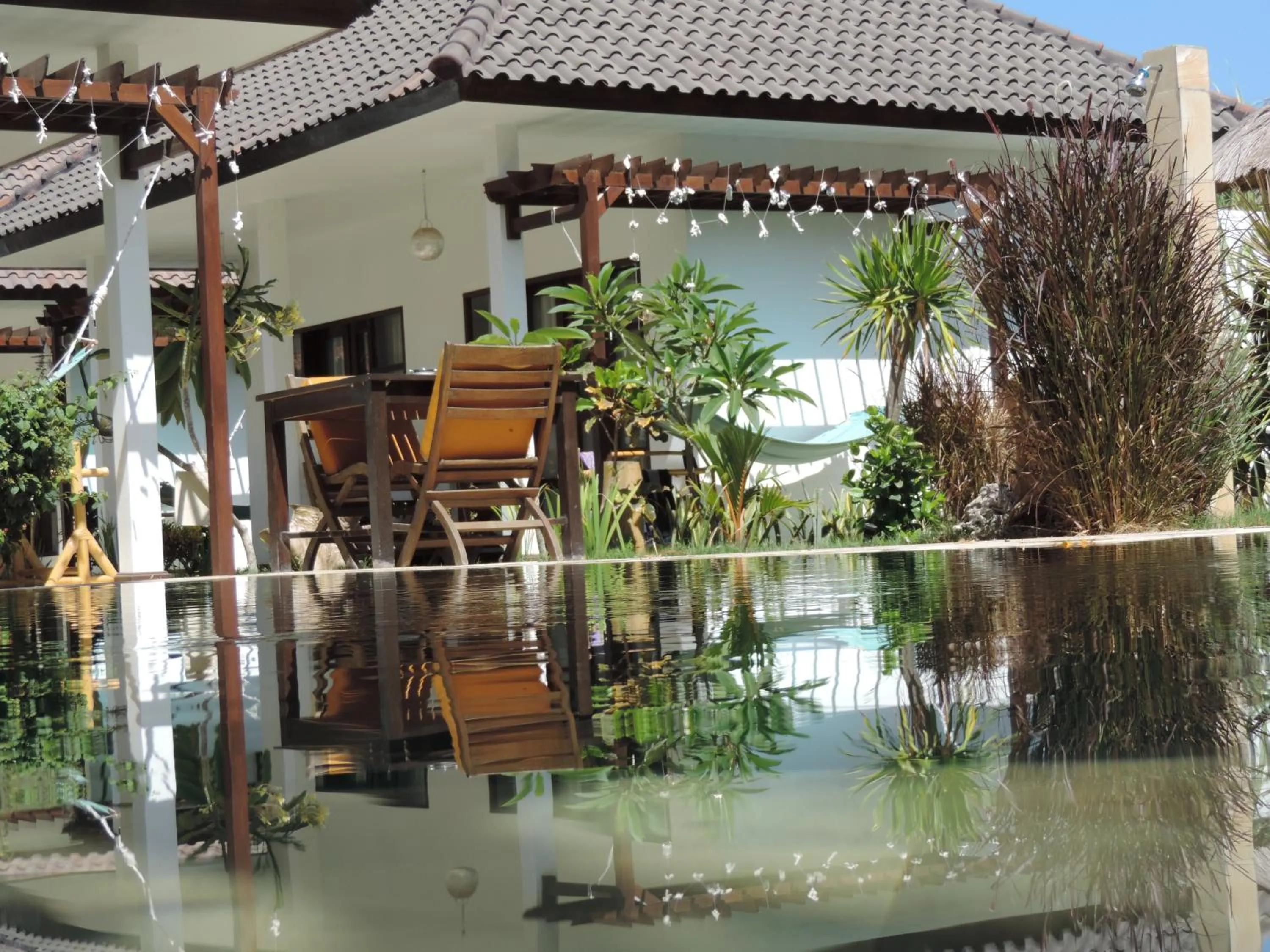 Area and facilities in Casus Dream Hotel