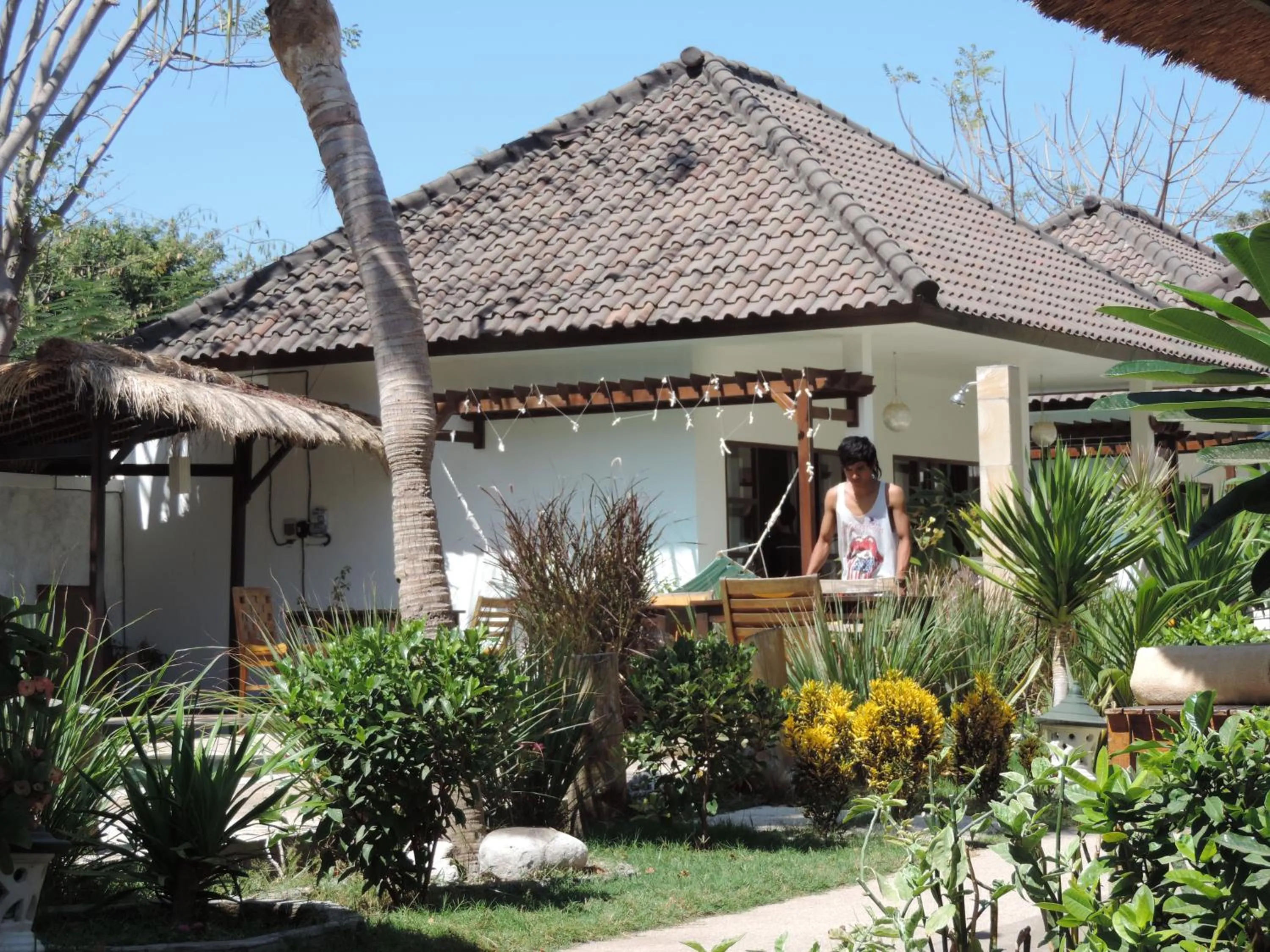 Area and facilities in Casus Dream Hotel