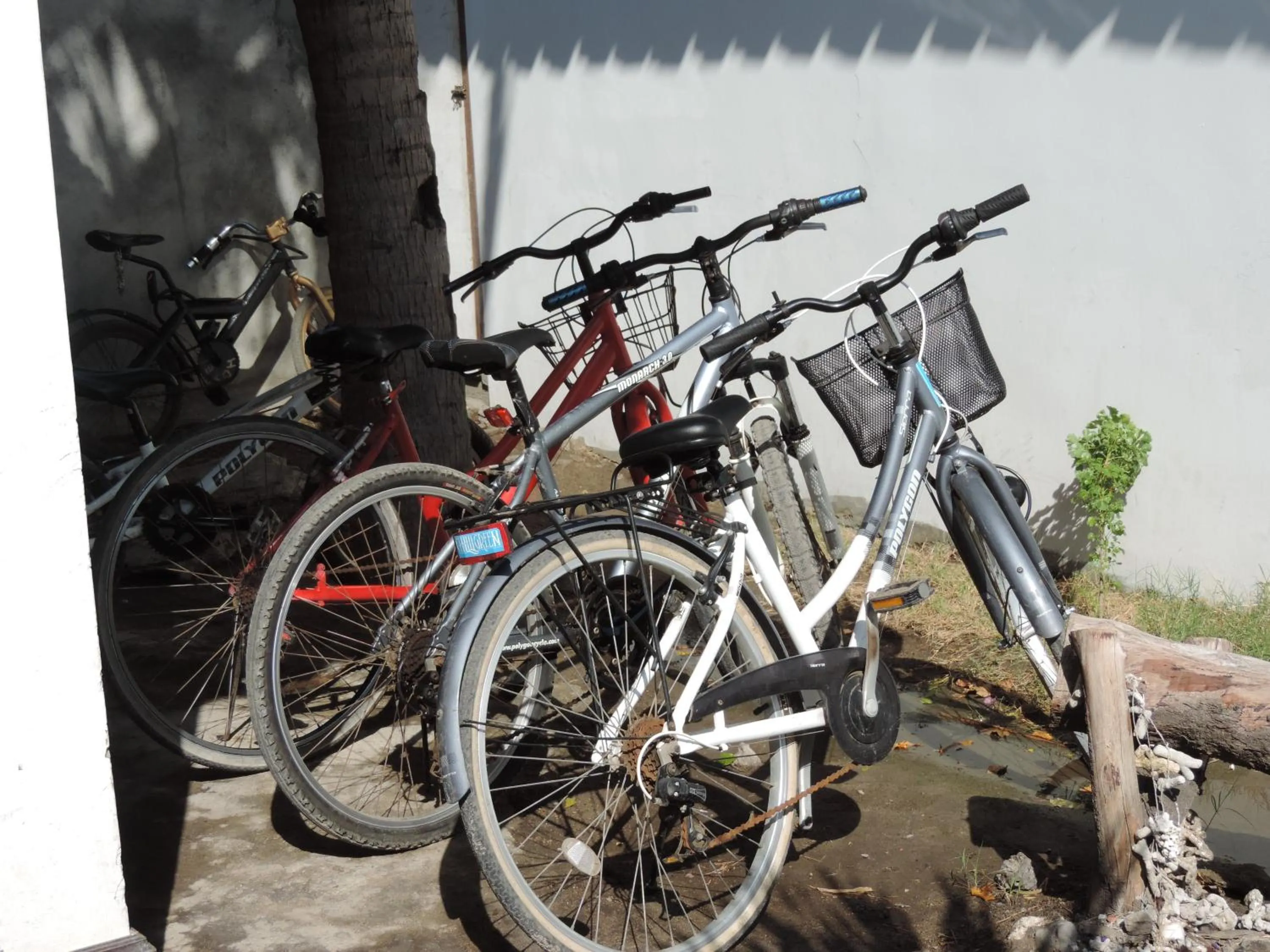 Decorative detail in Casus Dream Hotel