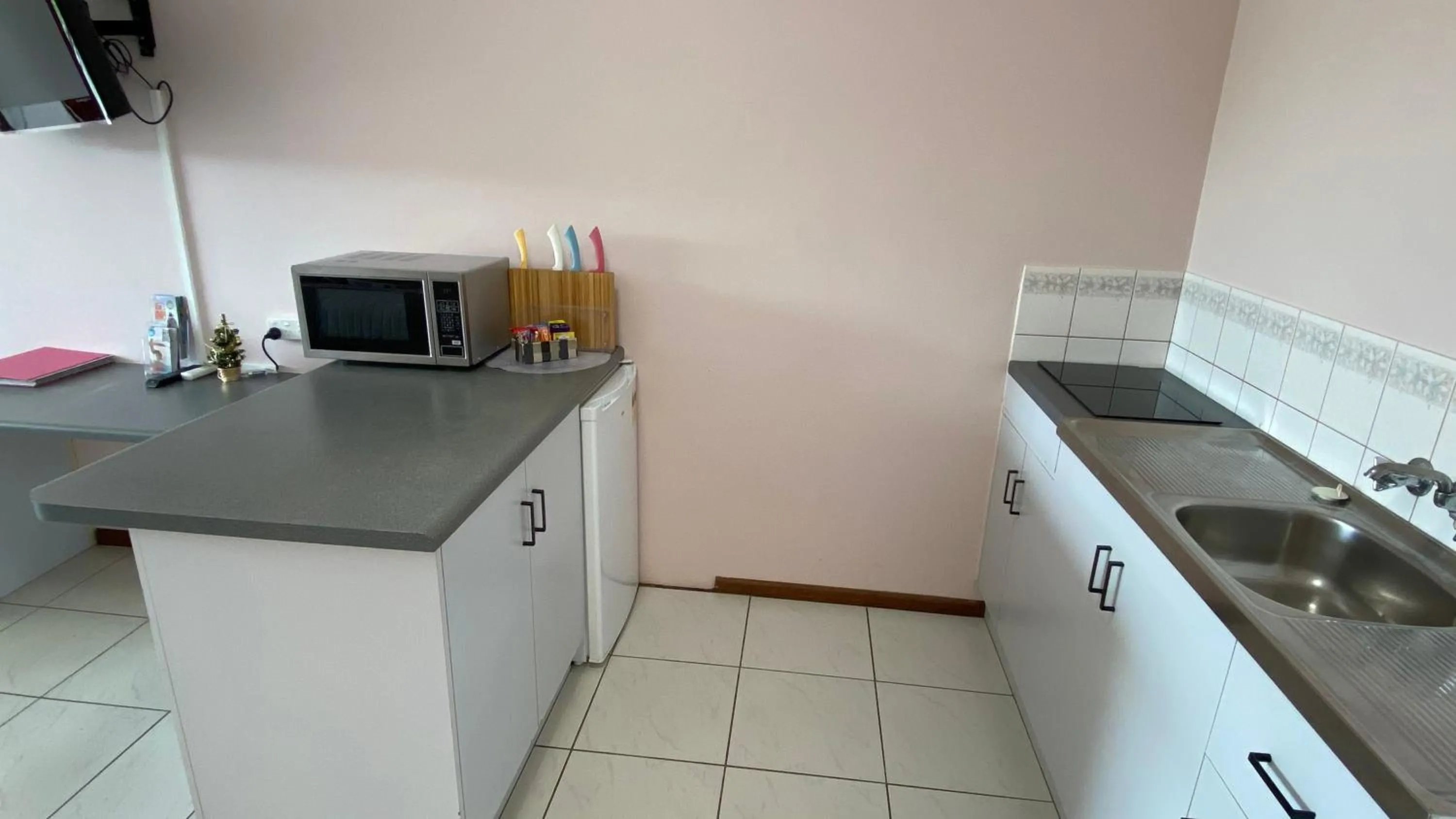 Kitchen or kitchenette in Holiday Lodge Apartment