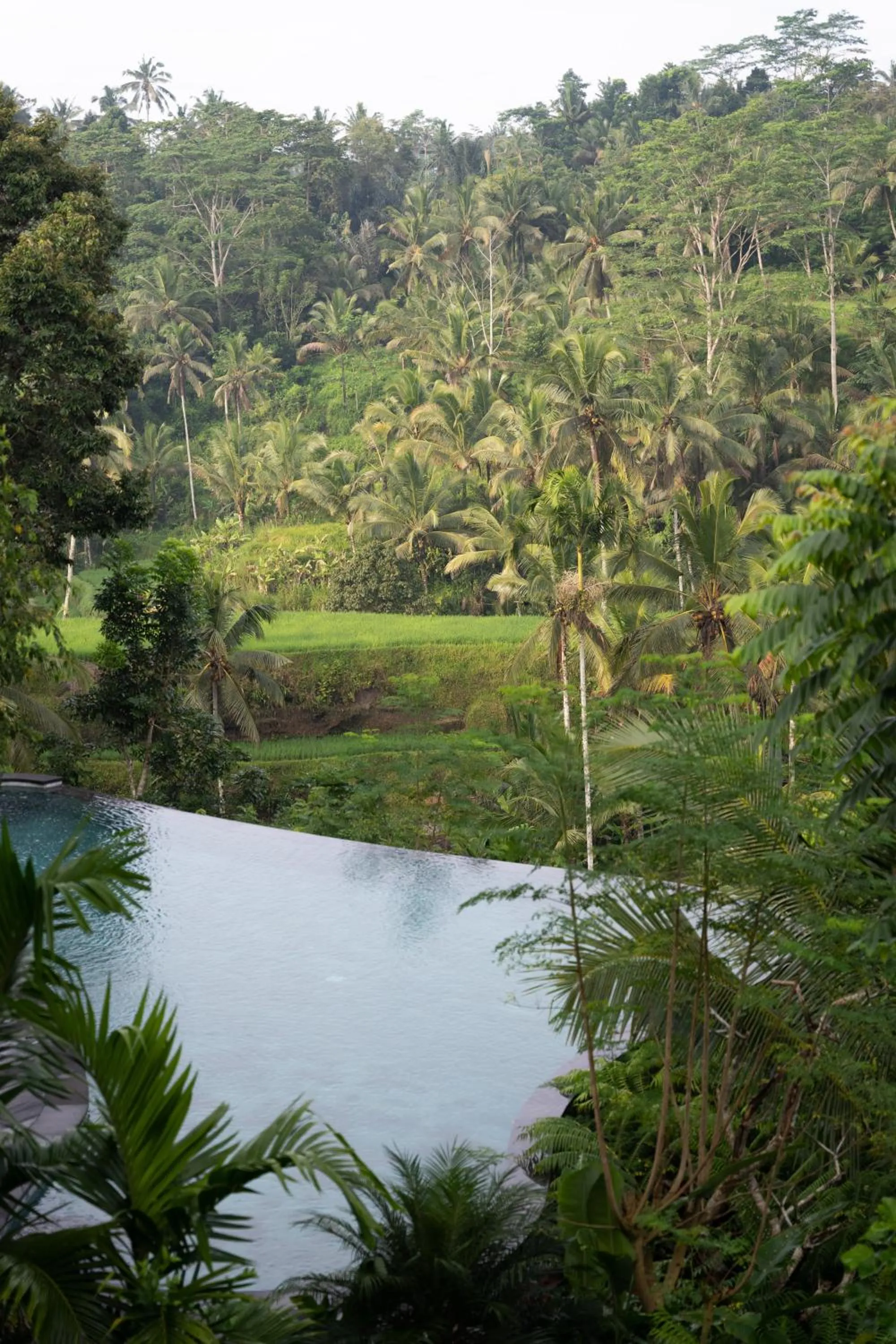 View (from property/room) in GK Bali Resort