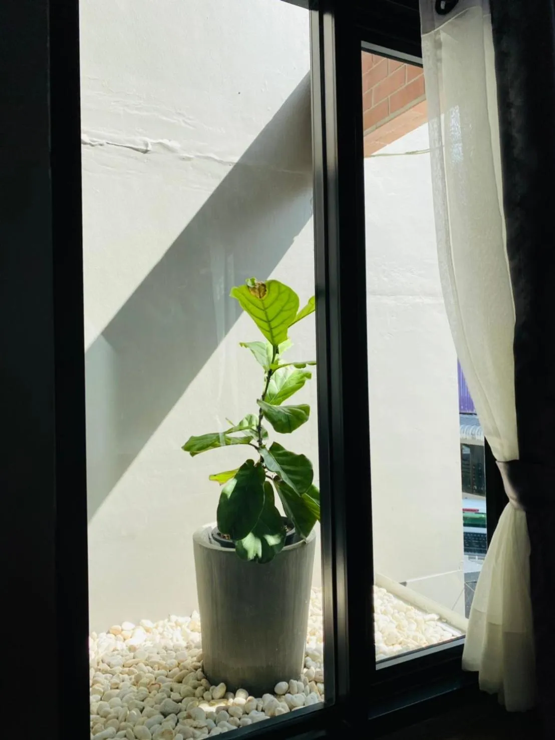 Spring in Little One