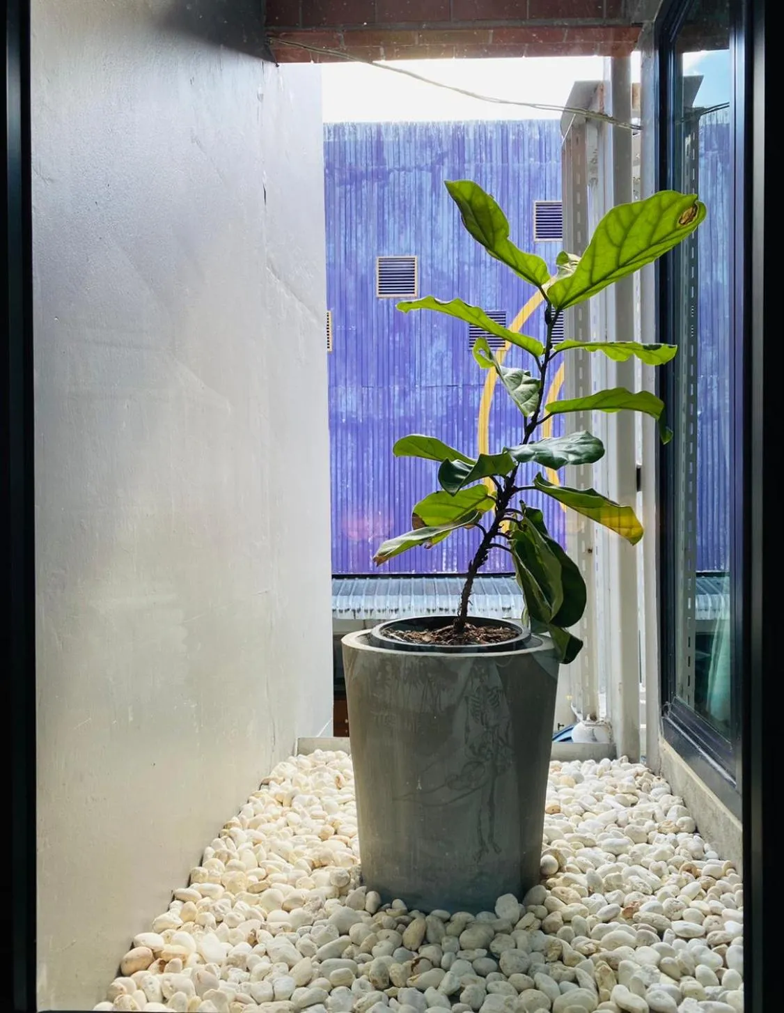 Decorative detail in Little One