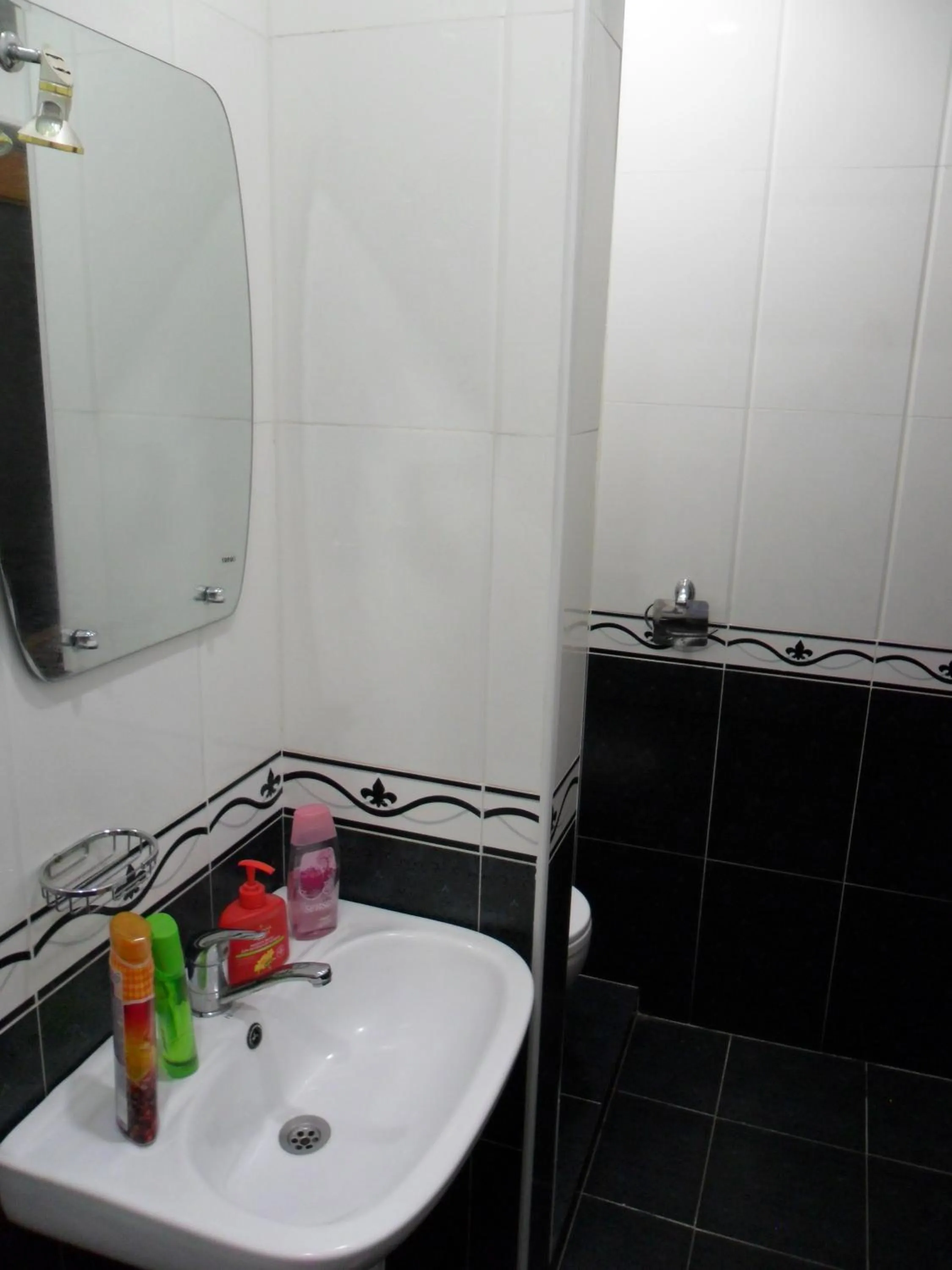 Shower in Hotel Noy