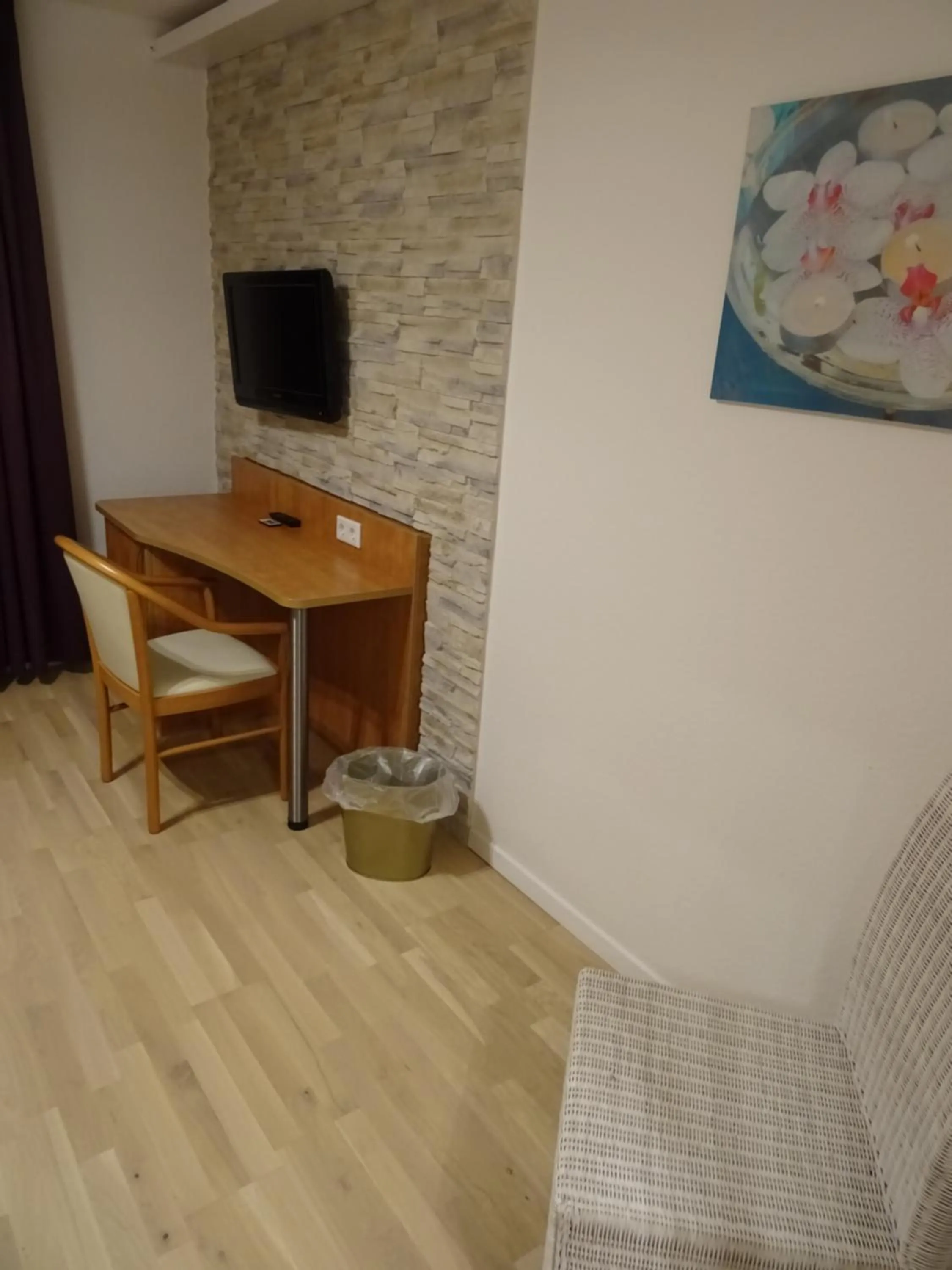 TV and multimedia in Aktiv Hotel Winterberg