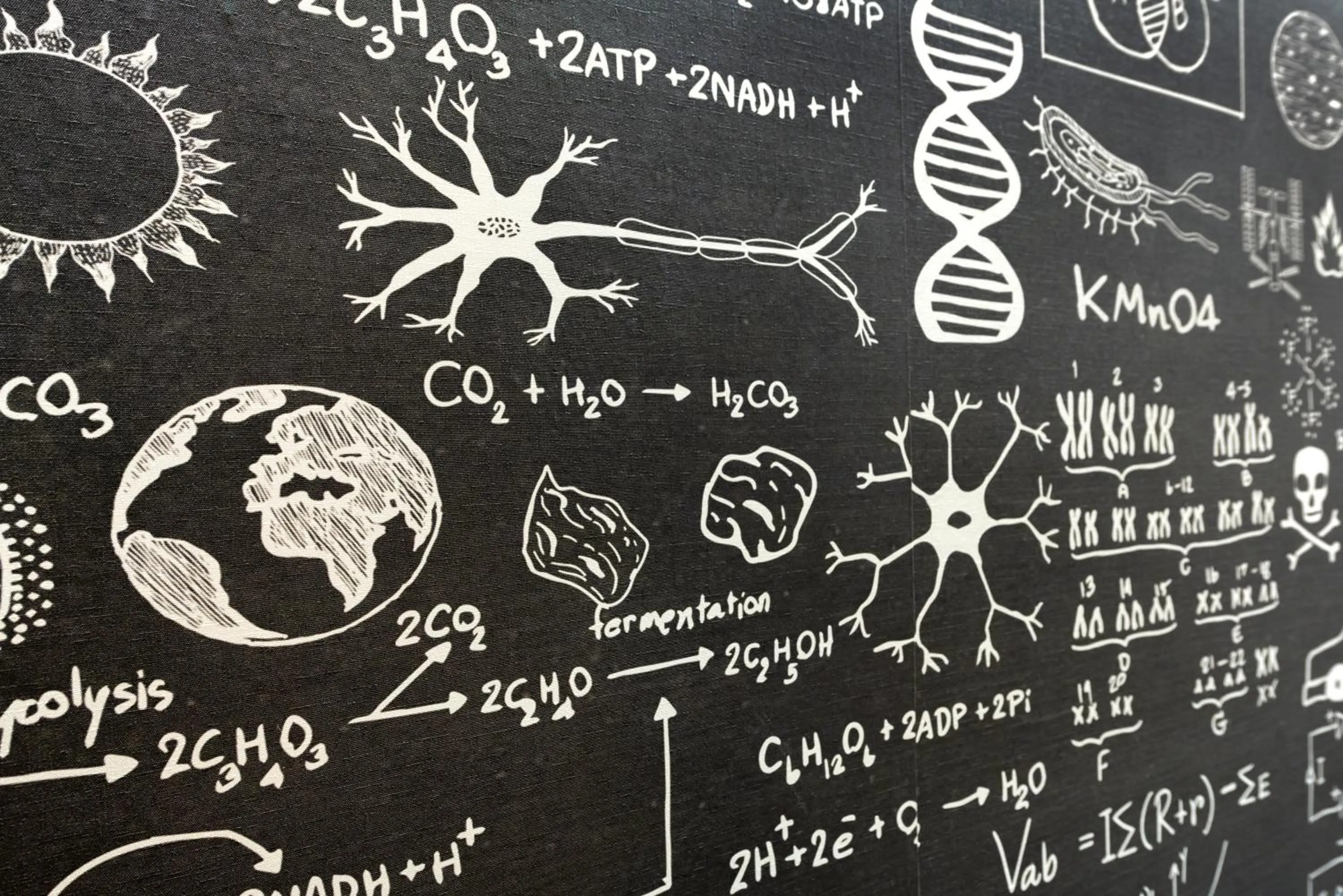 Decorative detail in Hotel Würzburger Hof ****