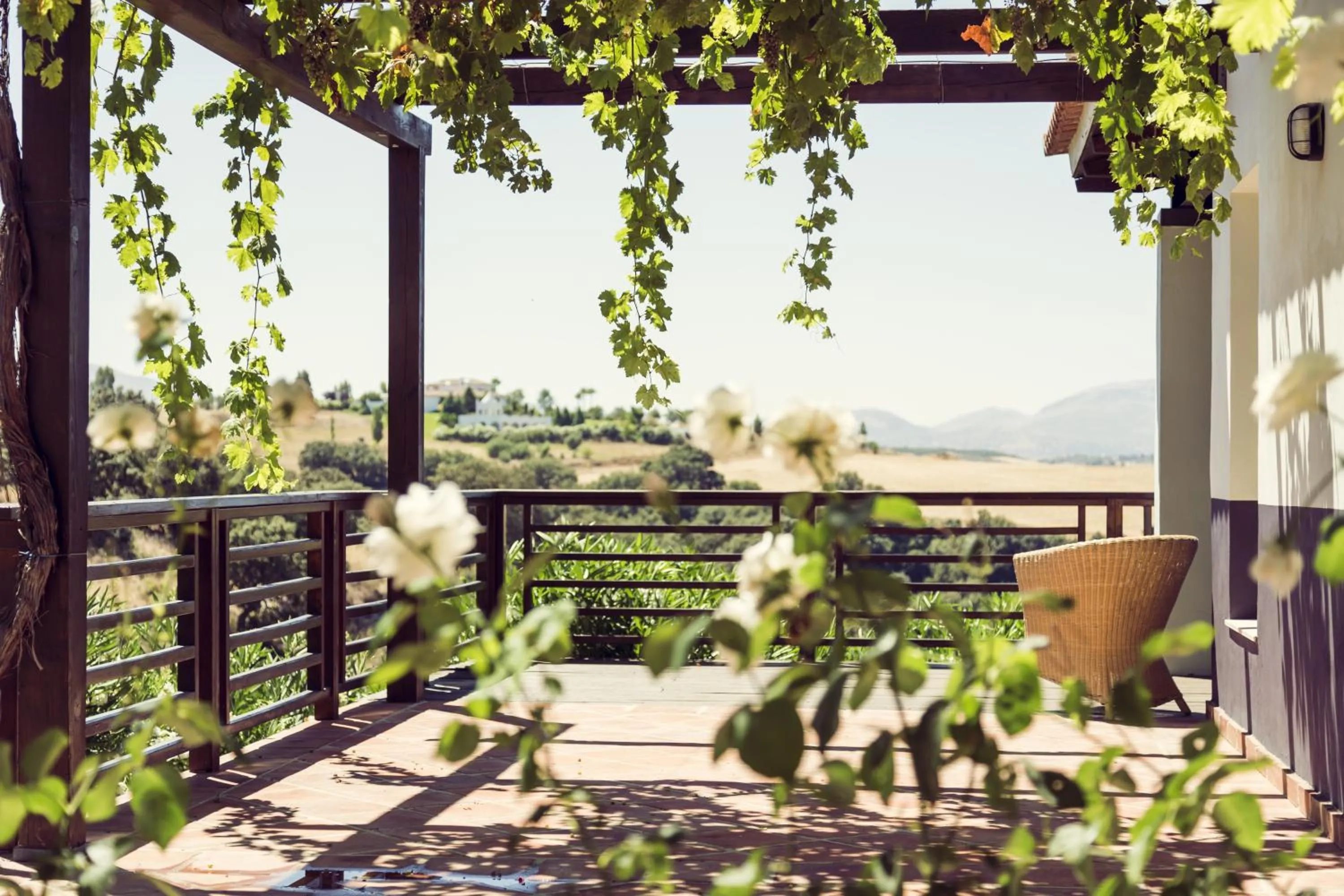 Balcony/Terrace in The Lodge Ronda