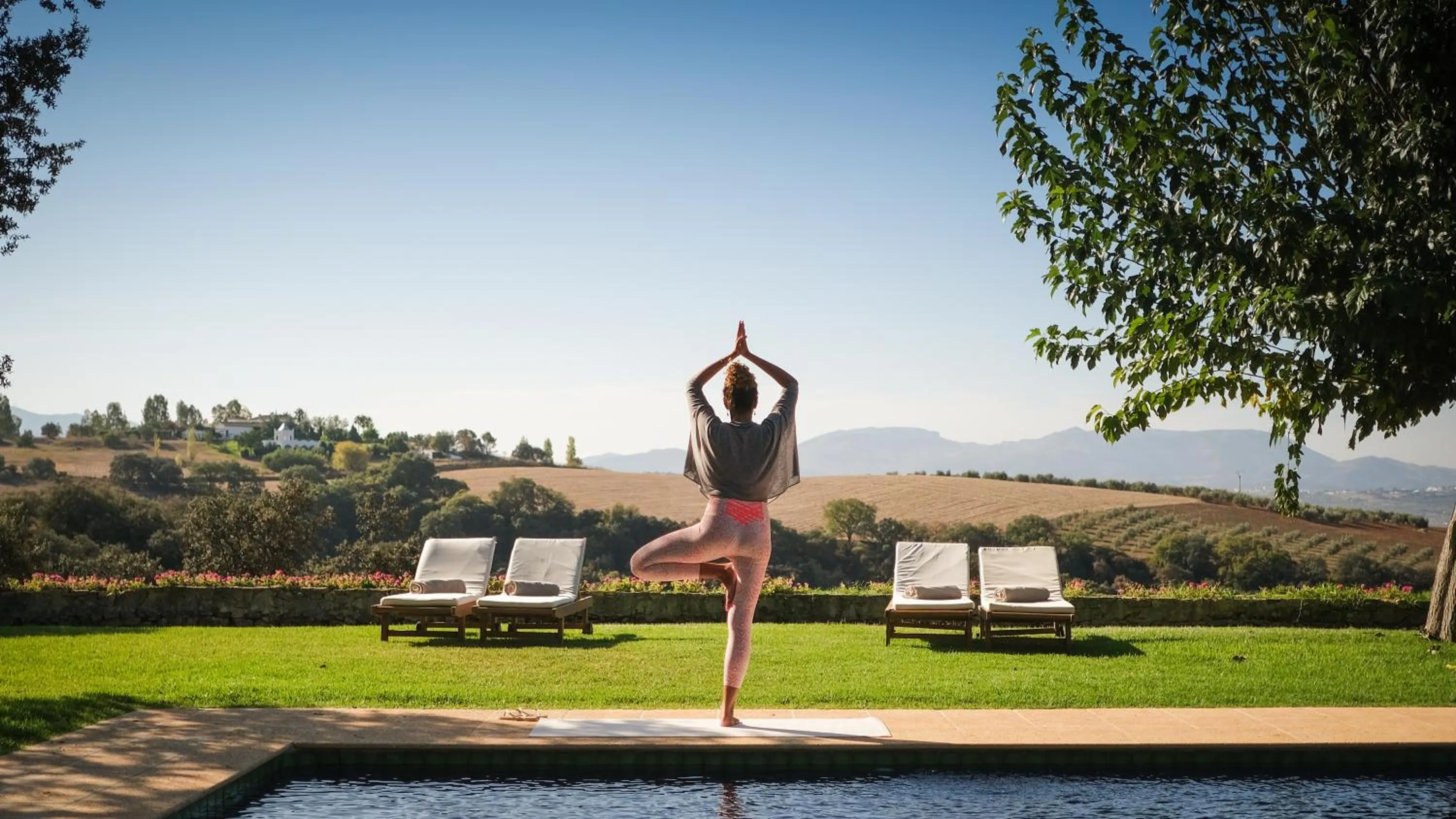 Natural landscape in The Lodge Ronda