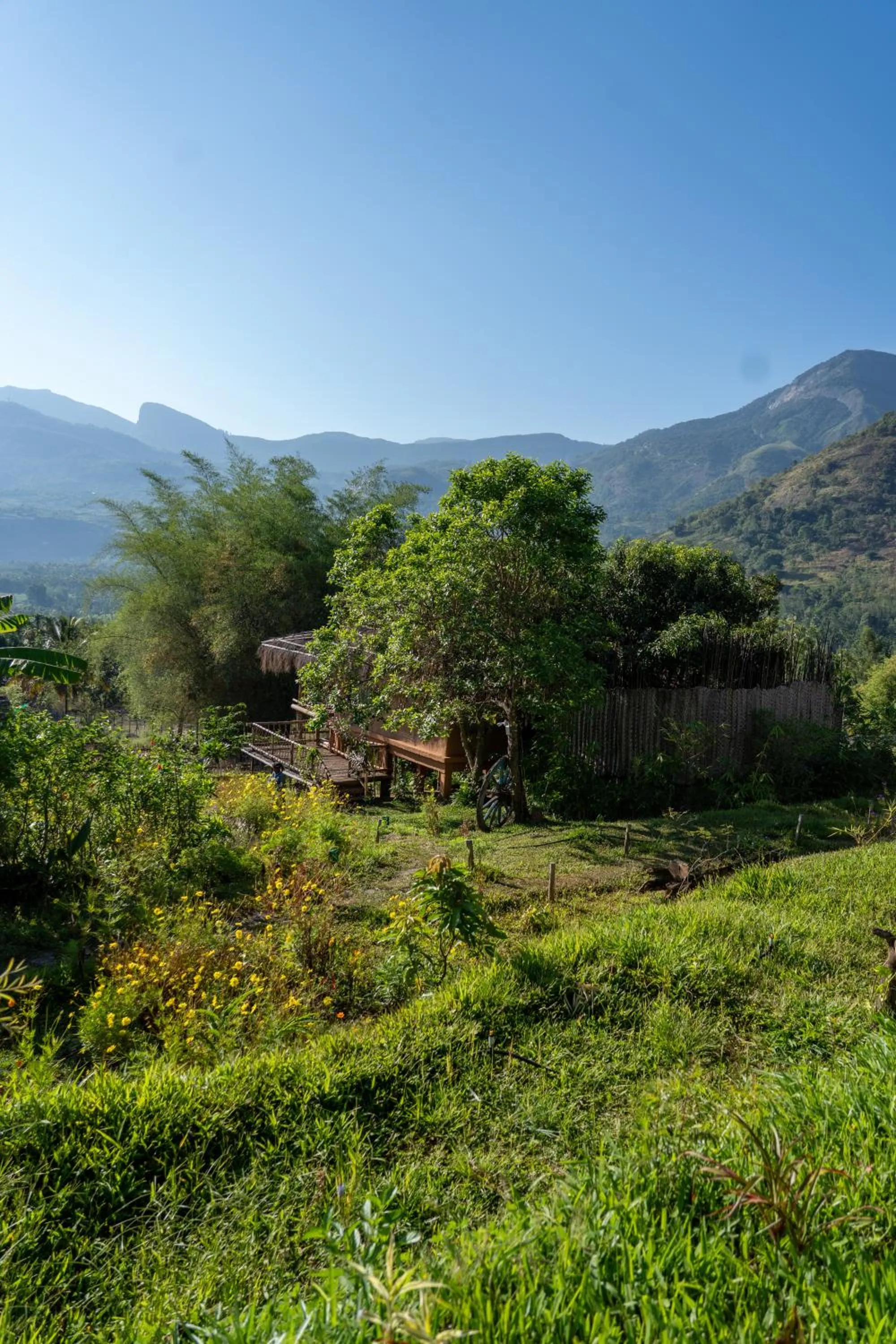 Garden in The Mudhouse Marayoor