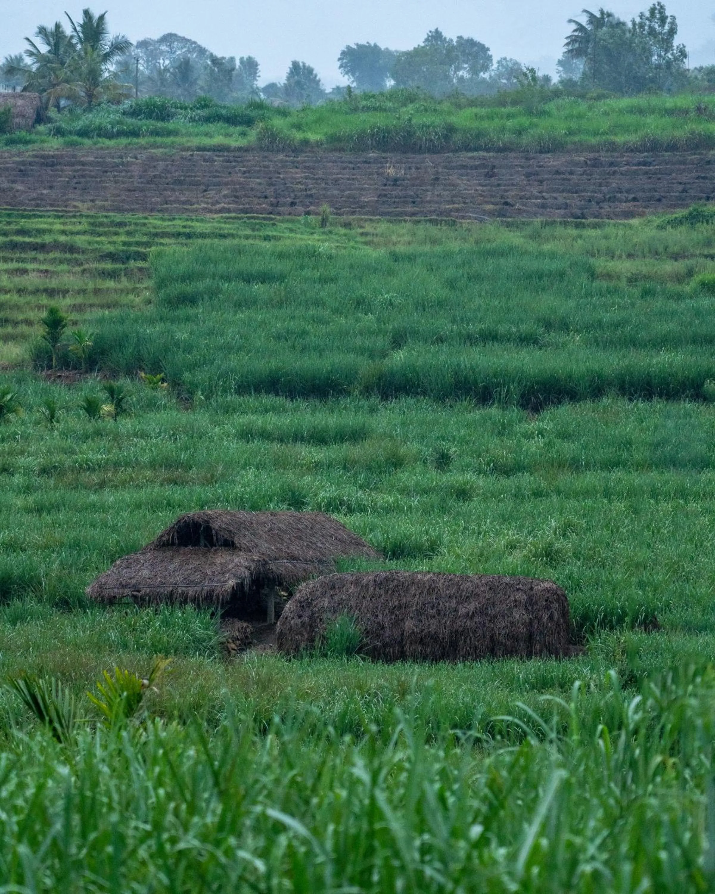 Activities in The Mudhouse Marayoor