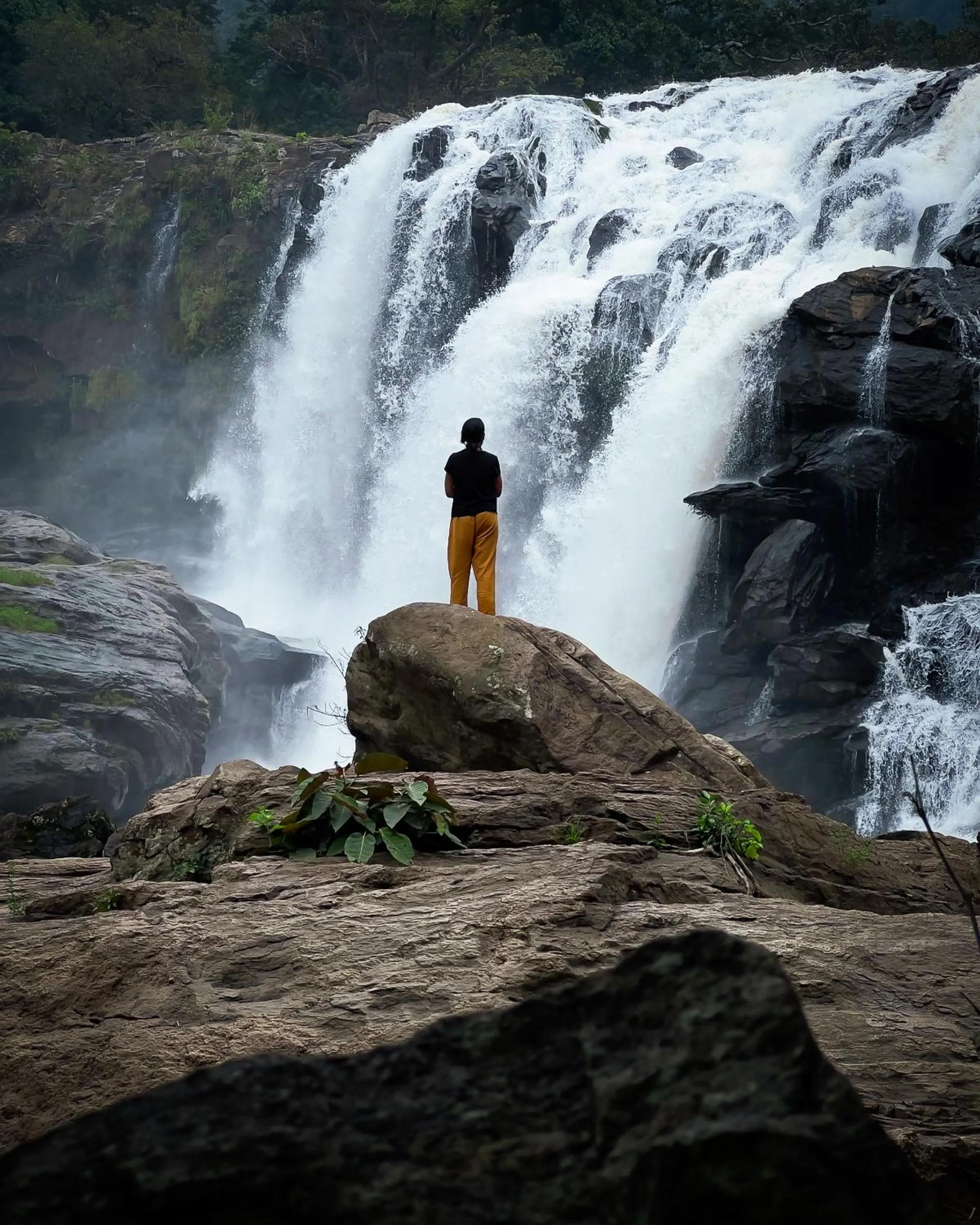 Activities in The Mudhouse Marayoor