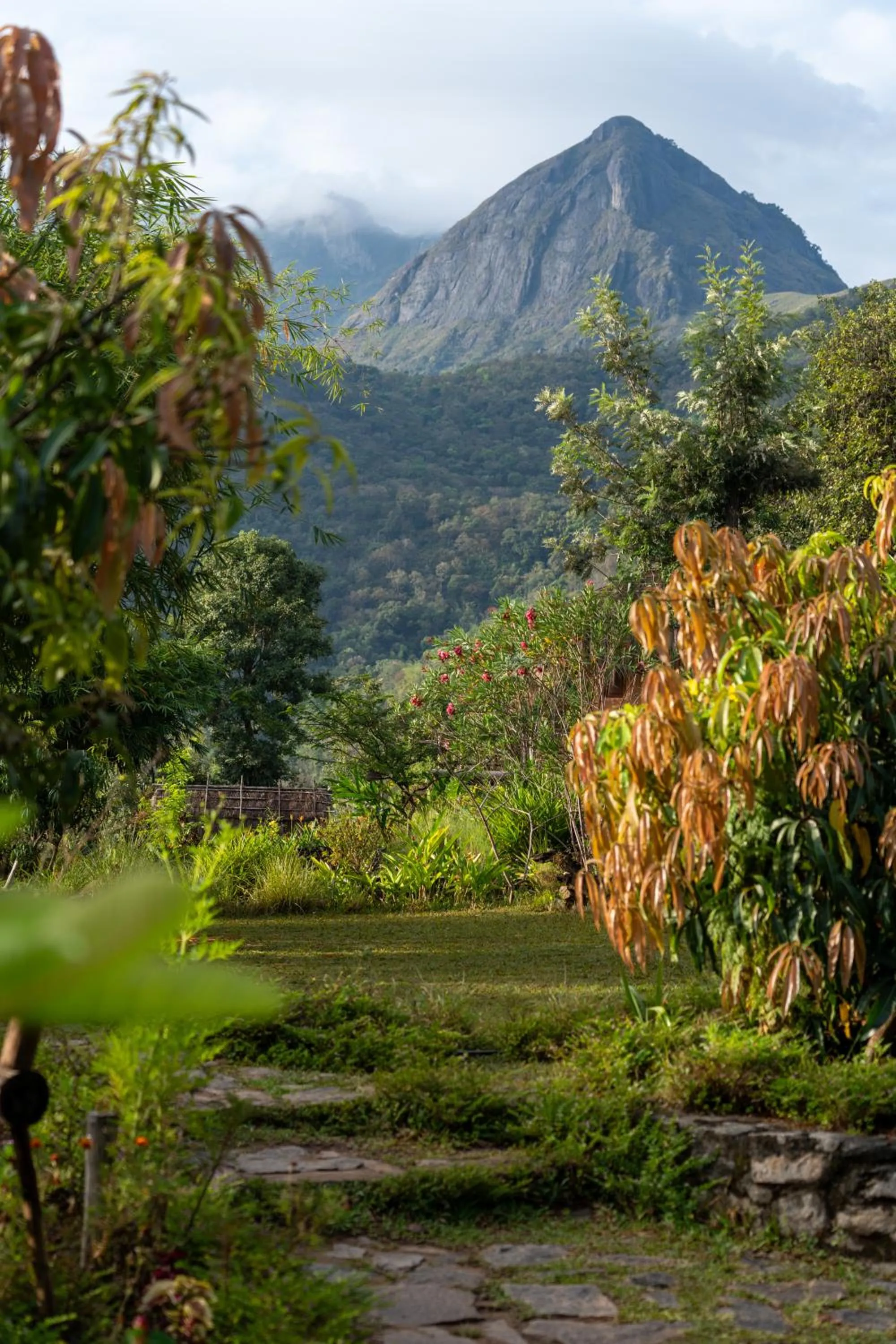 Natural landscape in The Mudhouse Marayoor