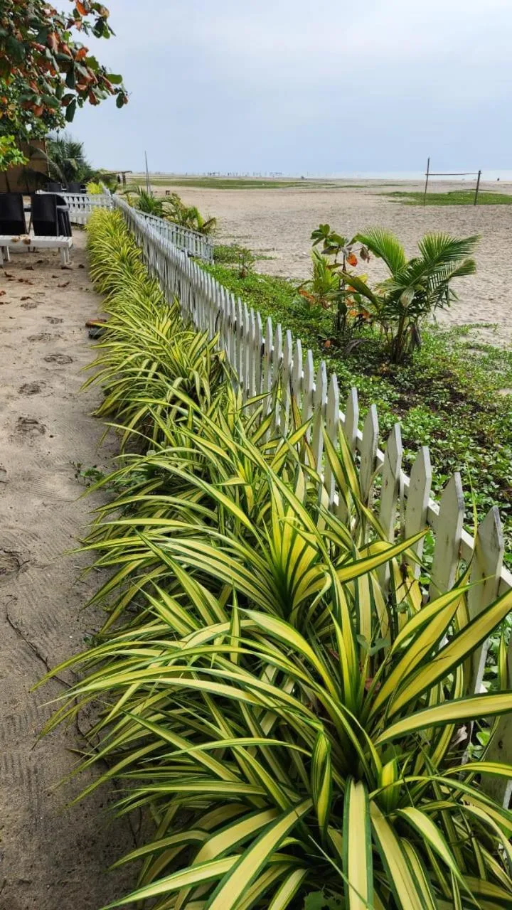Natural landscape in Palm Beach Resort, Alleppey