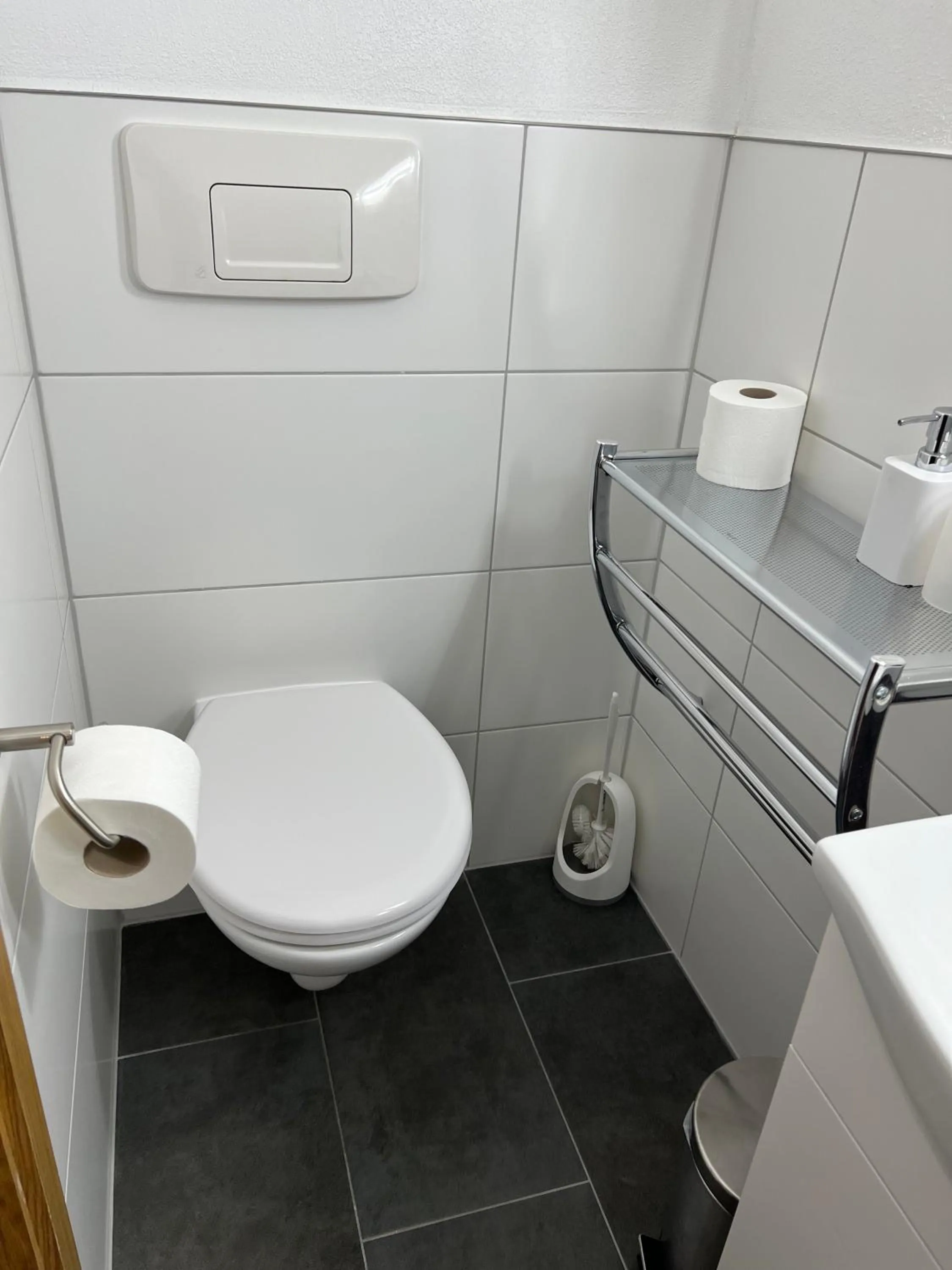 Toilet in Gasthof Löwen