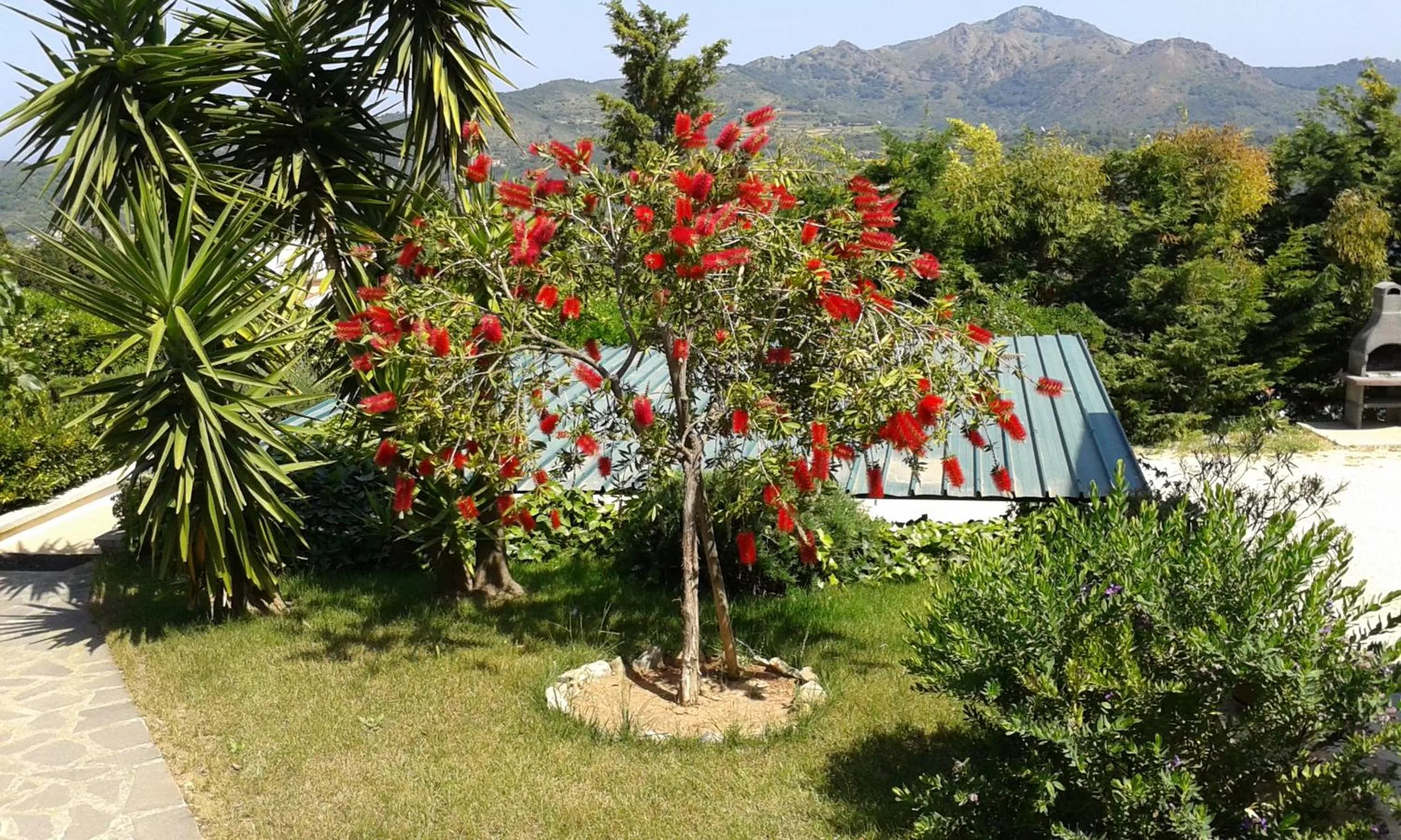 Master apartment in villa 6 to 8 persons with large private garden