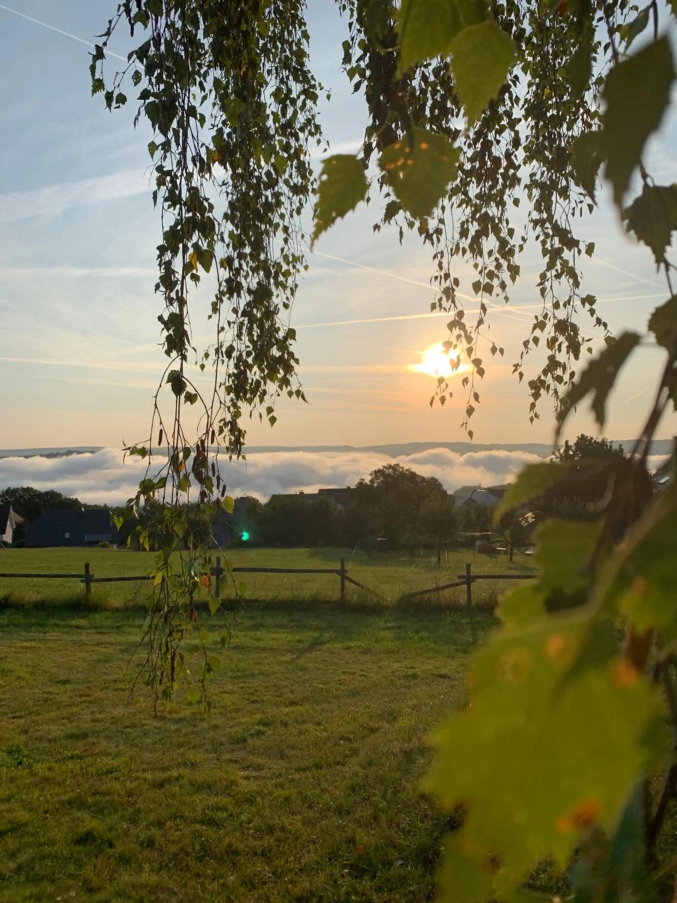 Garden in Landhotel Zum Kronprinzen