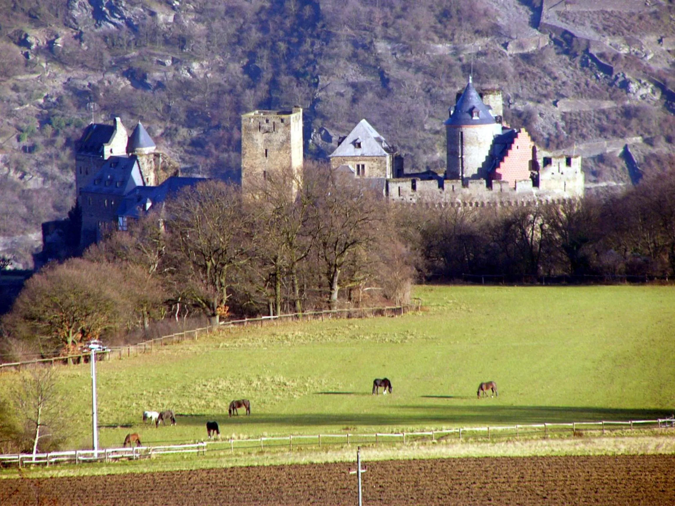 Garden in Landhotel Zum Kronprinzen