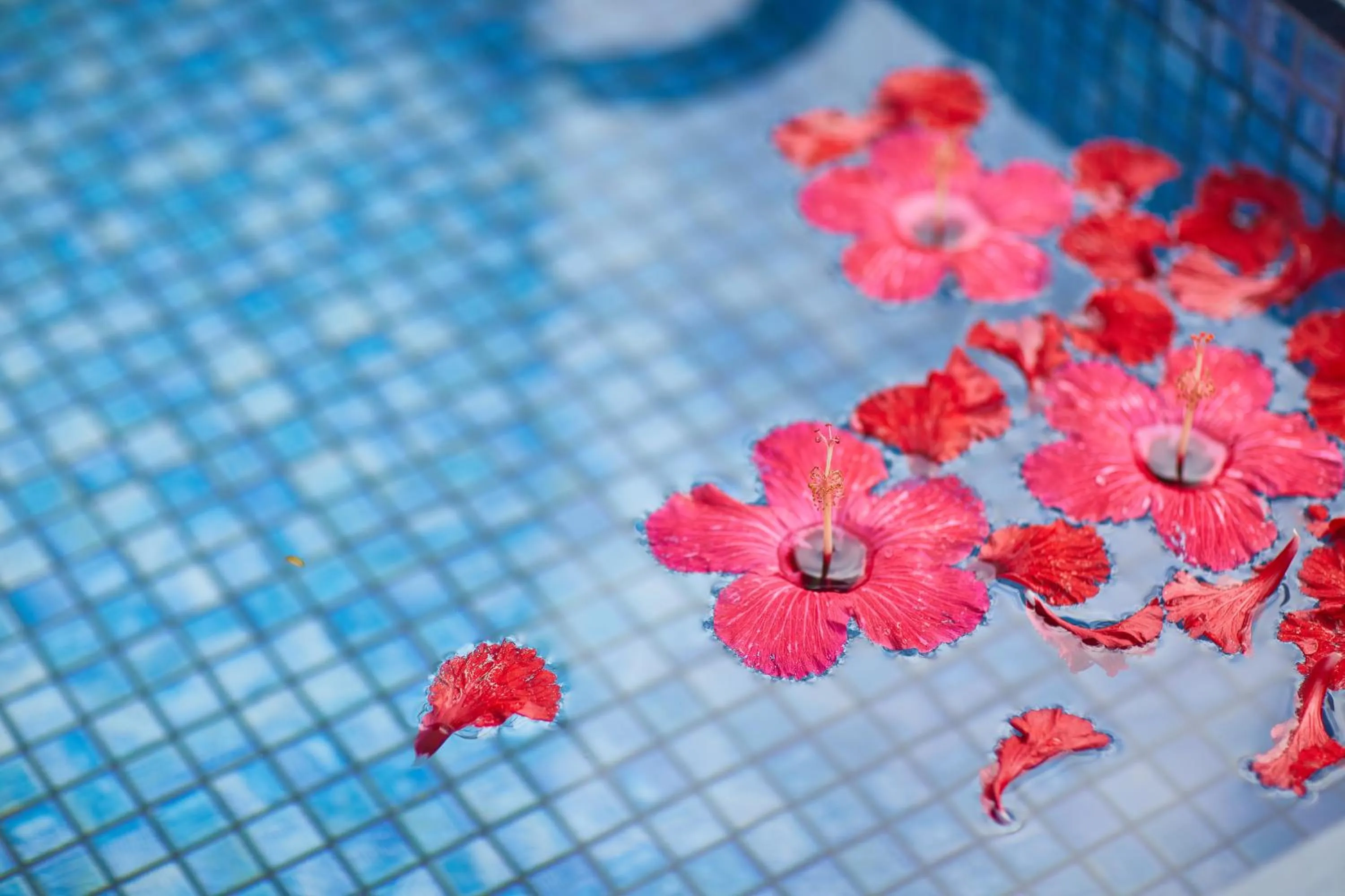 Swimming pool in RIZOZAIZEN MOTOBU B