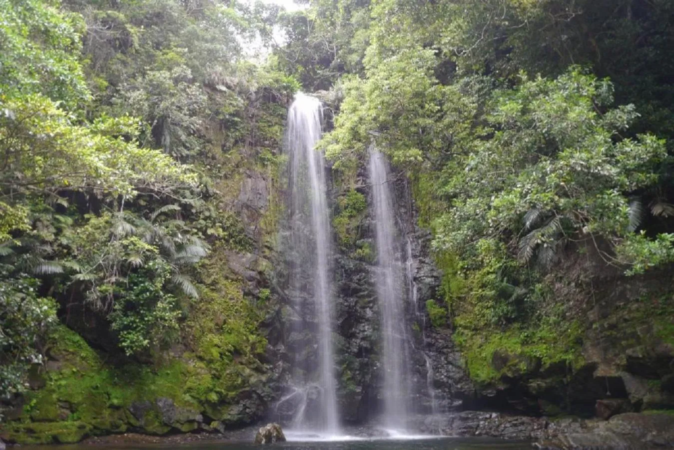 Natural landscape in RIZOZAIZEN MOTOBU B