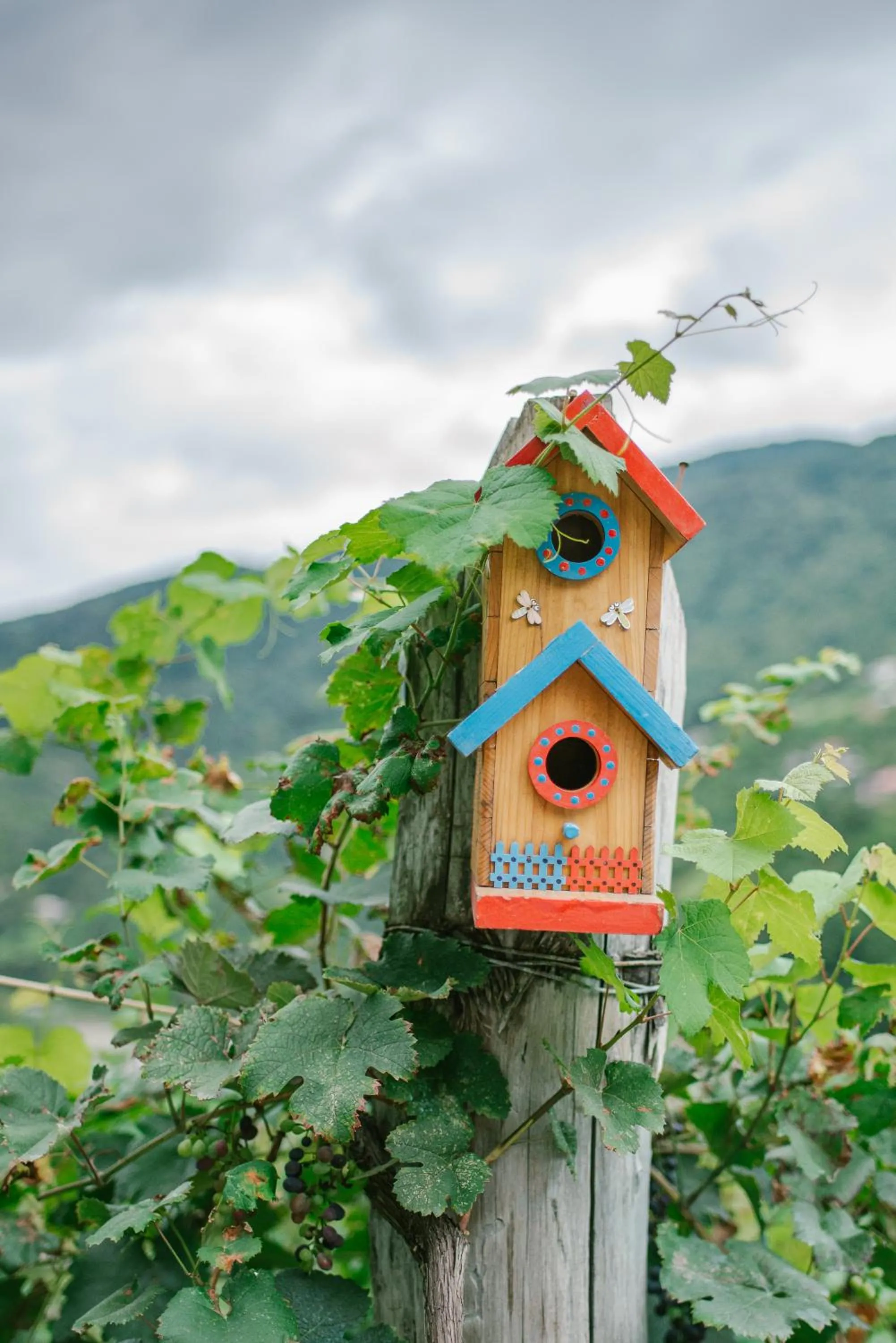 Children play ground in Hotel Chateau Iveri